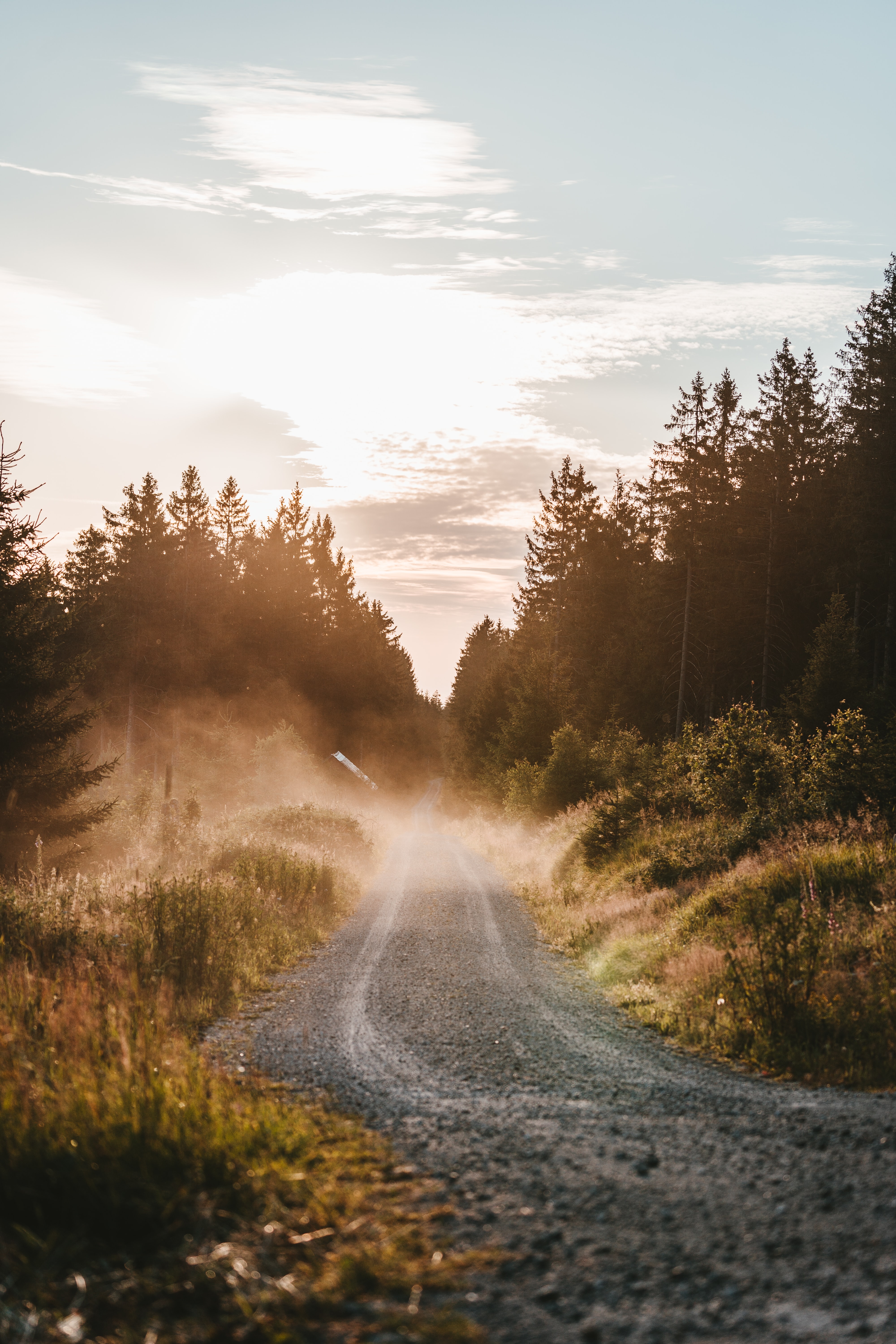 Download mobile wallpaper Forest, Road, Fog, Trees, Nature, Grass for free.