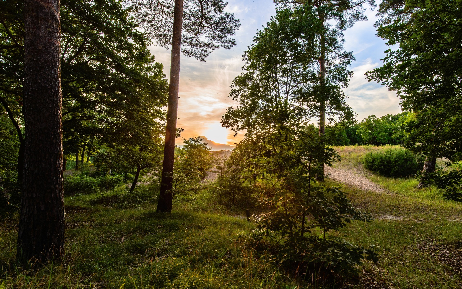 Laden Sie das Sonnenaufgang, Erde/natur-Bild kostenlos auf Ihren PC-Desktop herunter