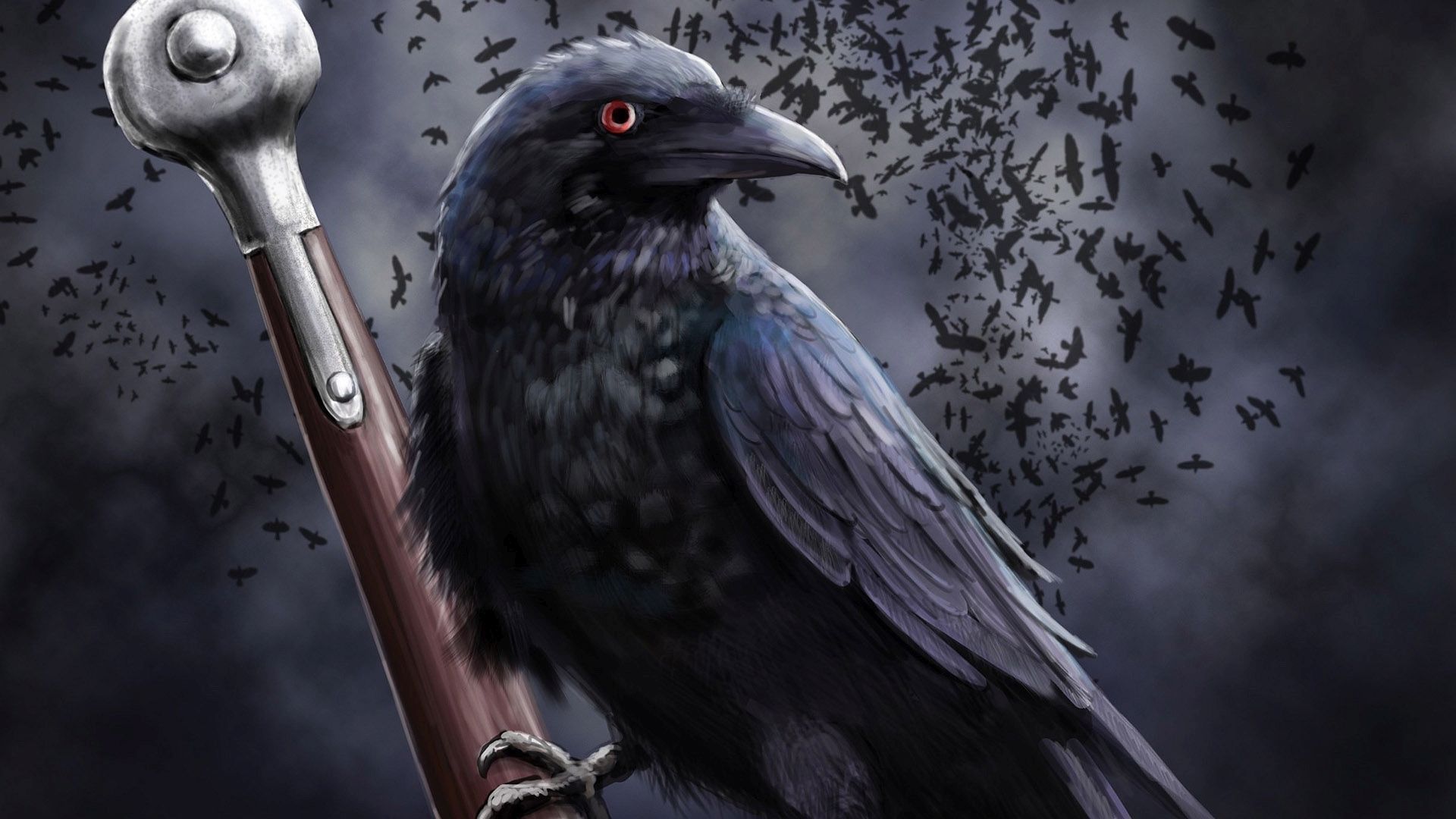 Download mobile wallpaper Birds, Bird, Close Up, Animal, Raven, Sword for free.