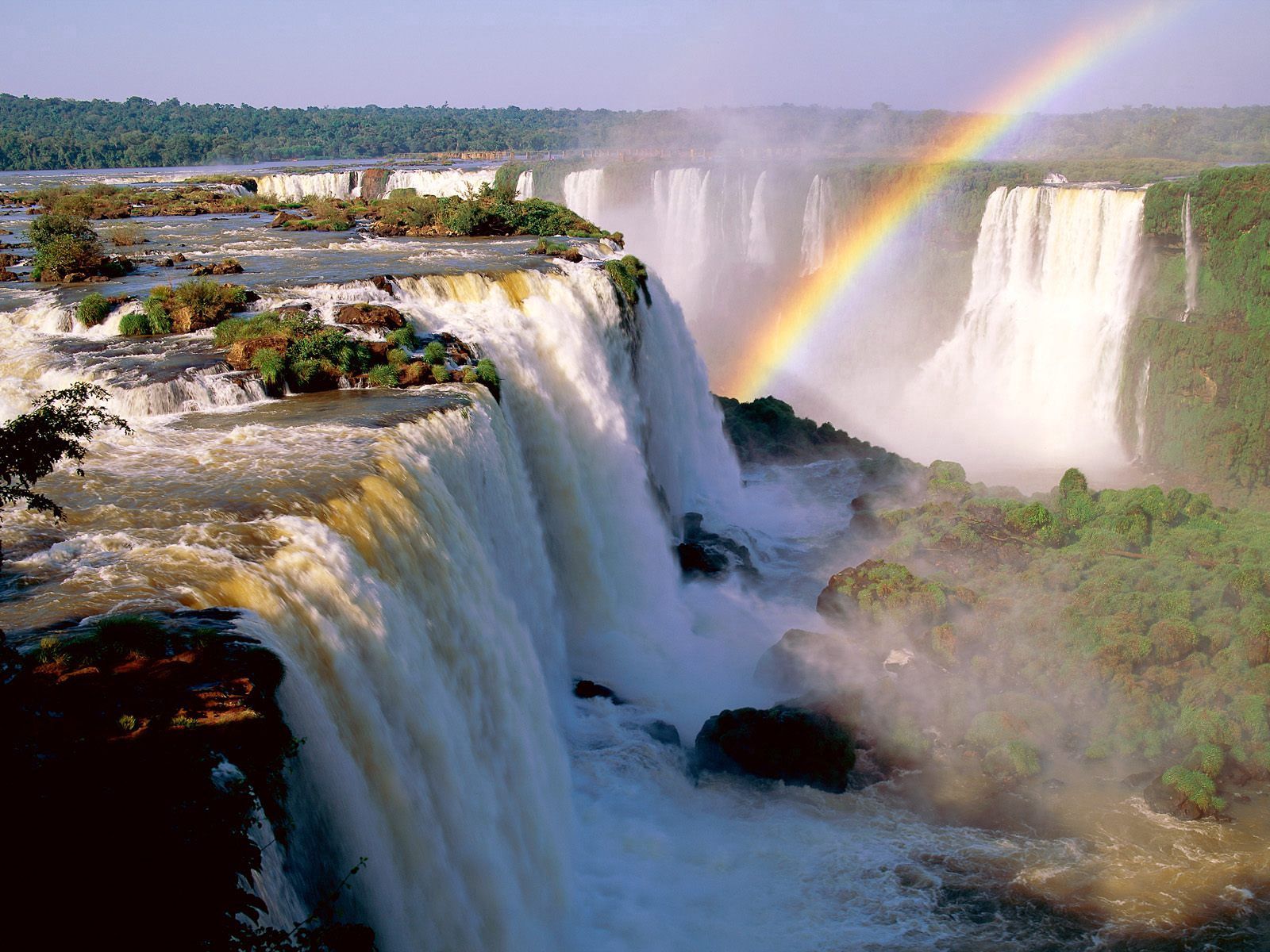 83125 скачать обои аргентина, водопад, природа, радуга, растительность, iguassu falls - заставки и картинки бесплатно