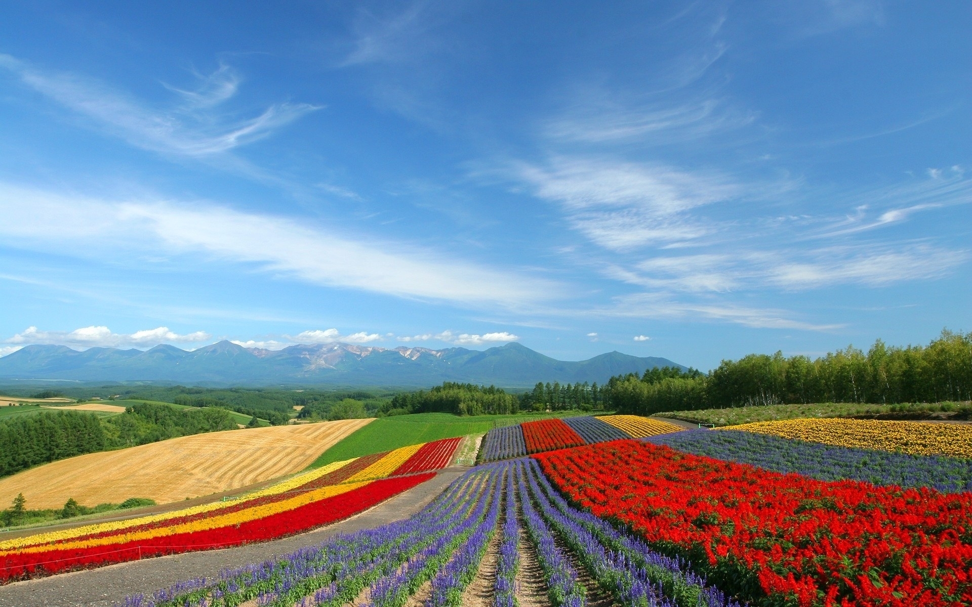 Download mobile wallpaper Landscape, Fields for free.