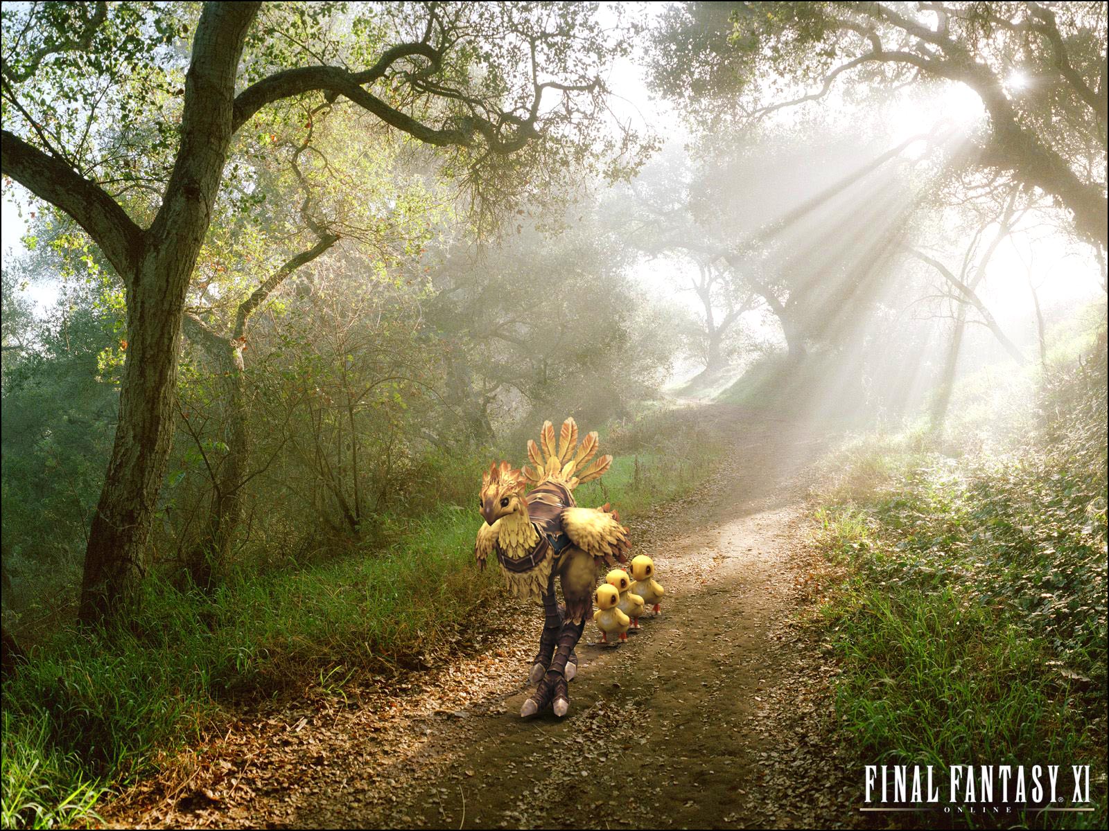 Laden Sie Chocobo (Final Fantasy) HD-Desktop-Hintergründe herunter