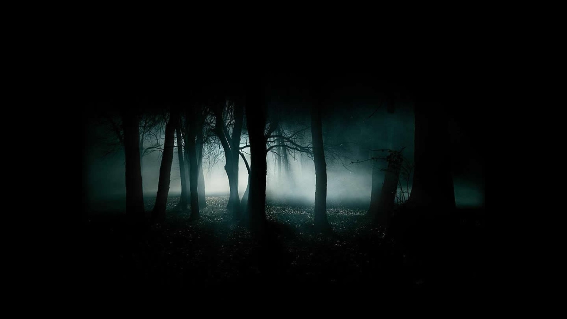 Download mobile wallpaper Dark, Forest, Tree for free.