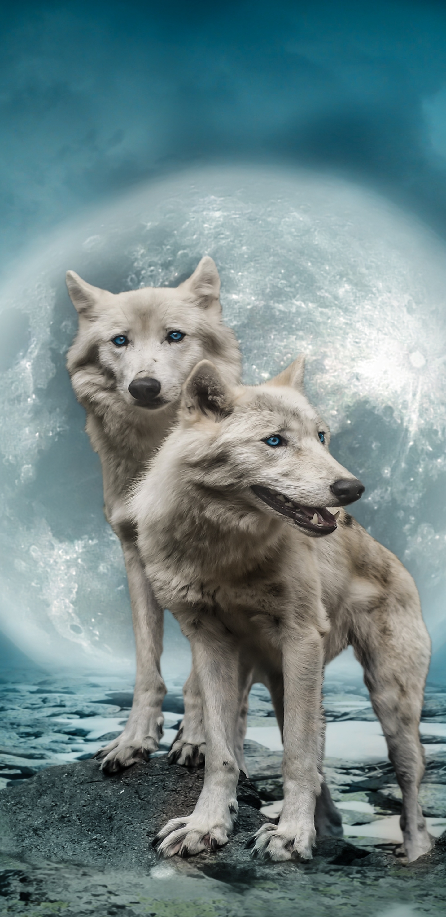 Download mobile wallpaper Moon, Wolf, Animal, Cloud, Blue Eyes, Manipulation, Wolves for free.