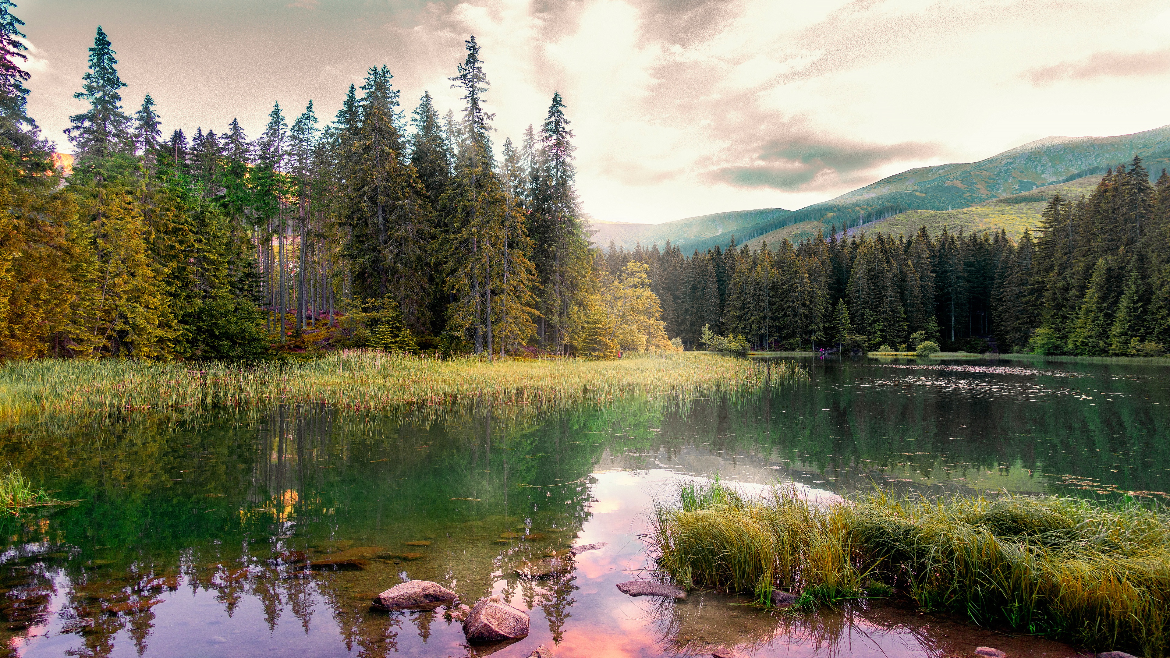 Handy-Wallpaper Landschaft, See, Wald, Erde/natur, Spiegelung kostenlos herunterladen.