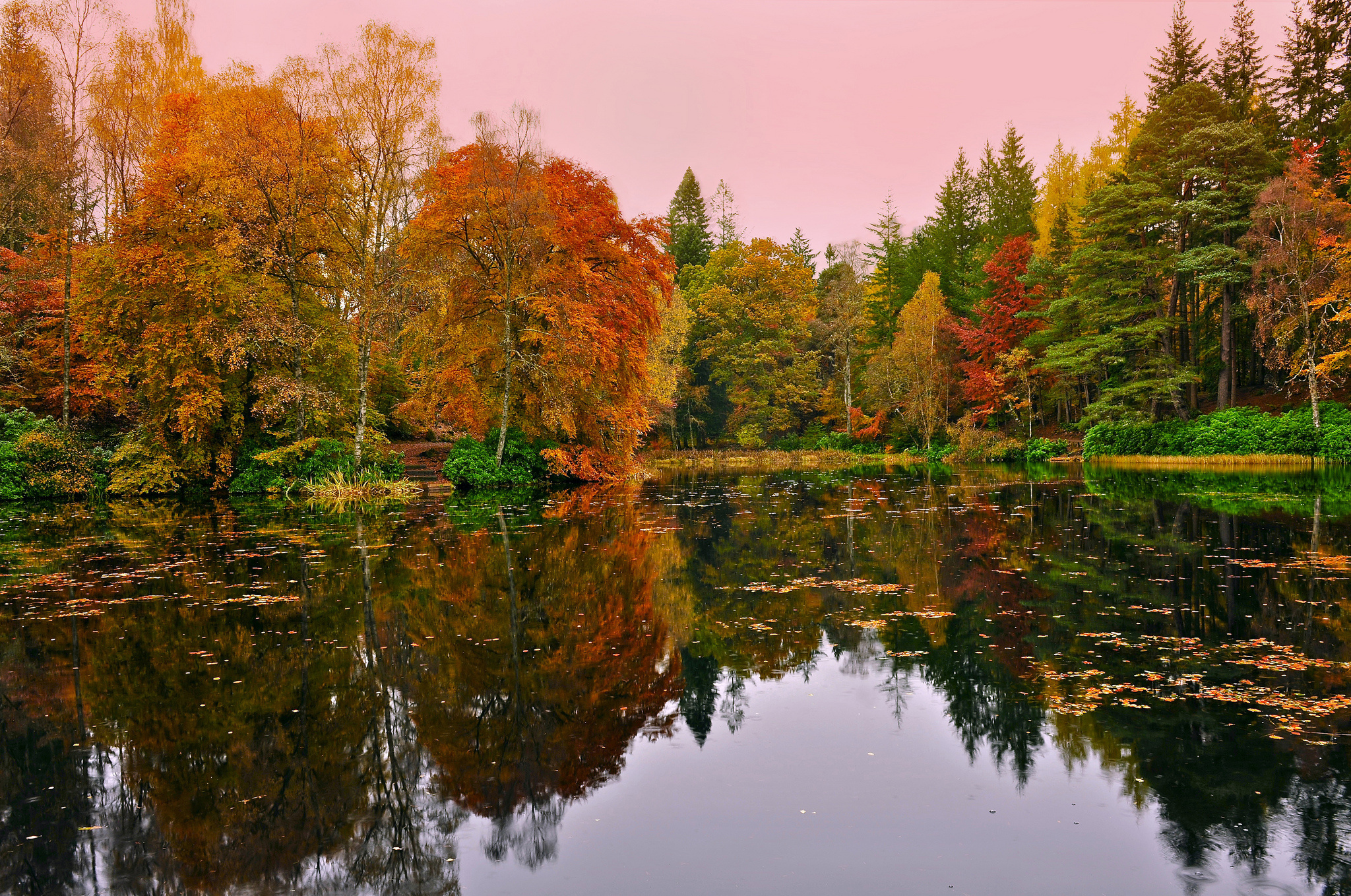 Скачать картинку Отражение, Озеро, Природа, Осень, Лес в телефон бесплатно.