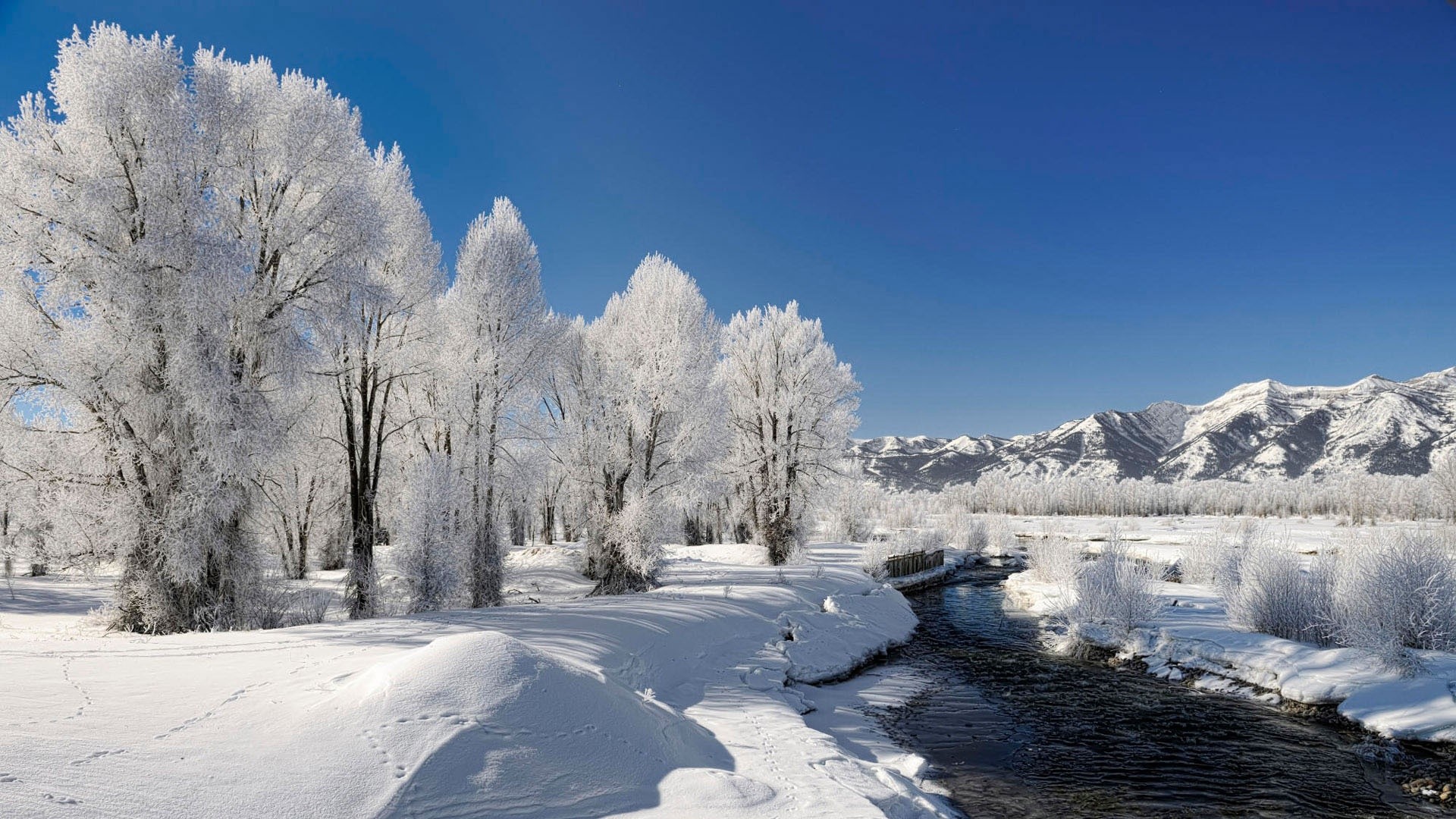 PCデスクトップに冬, 水, 川, 木, 雪, 地球画像を無料でダウンロード