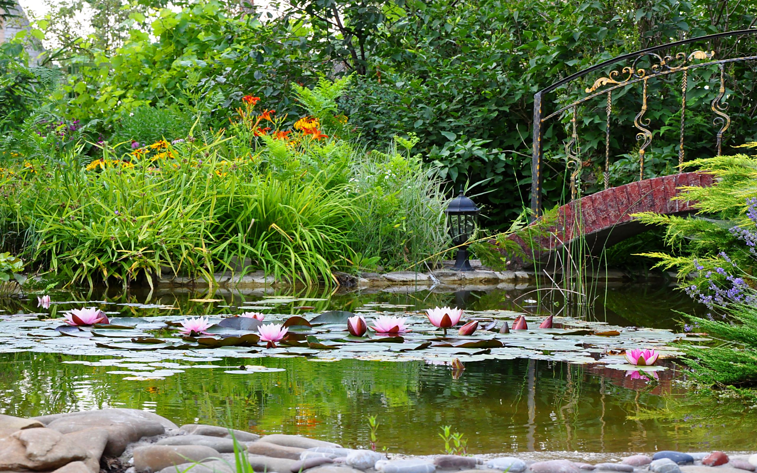 Laden Sie das Garten, Menschengemacht-Bild kostenlos auf Ihren PC-Desktop herunter