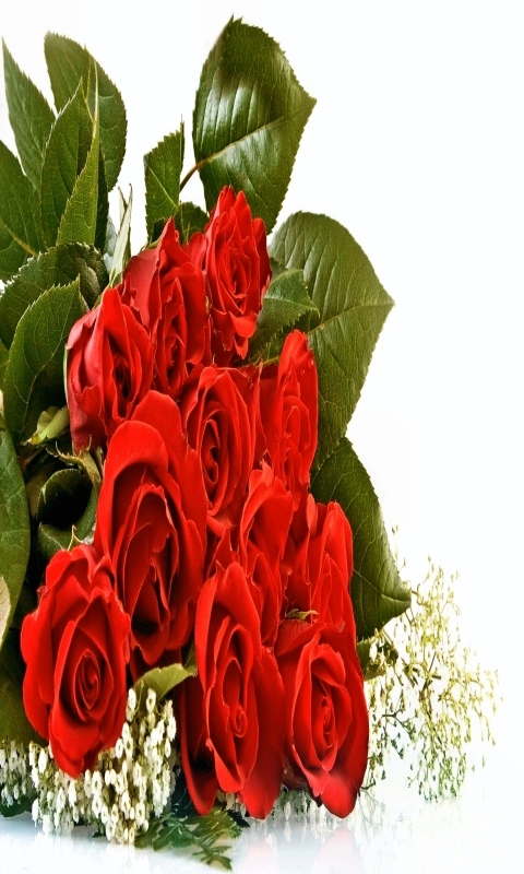 Скачать картинку Цветок, Роза, Лист, Букет, Листва, Красная Роза, День Святого Валентина, Красный Цветок, Земля/природа, Флауэрсы в телефон бесплатно.