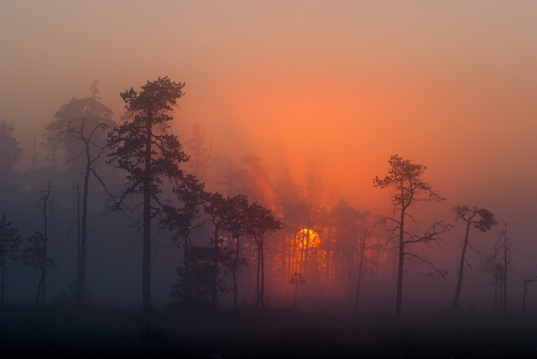 Téléchargez des papiers peints mobile Coucher De Soleil, Terre/nature gratuitement.