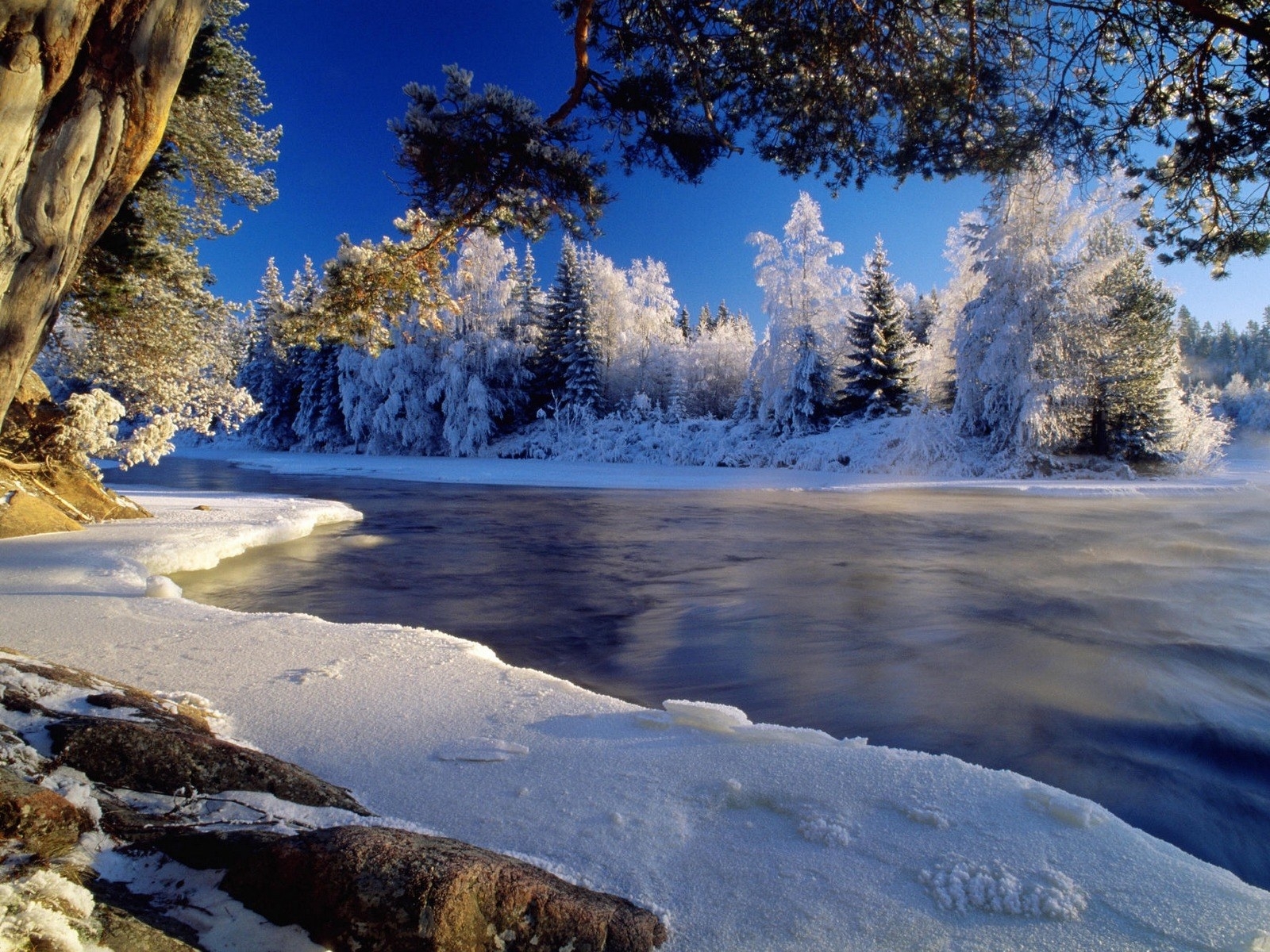 landscape, winter, rivers, trees, snow, blue