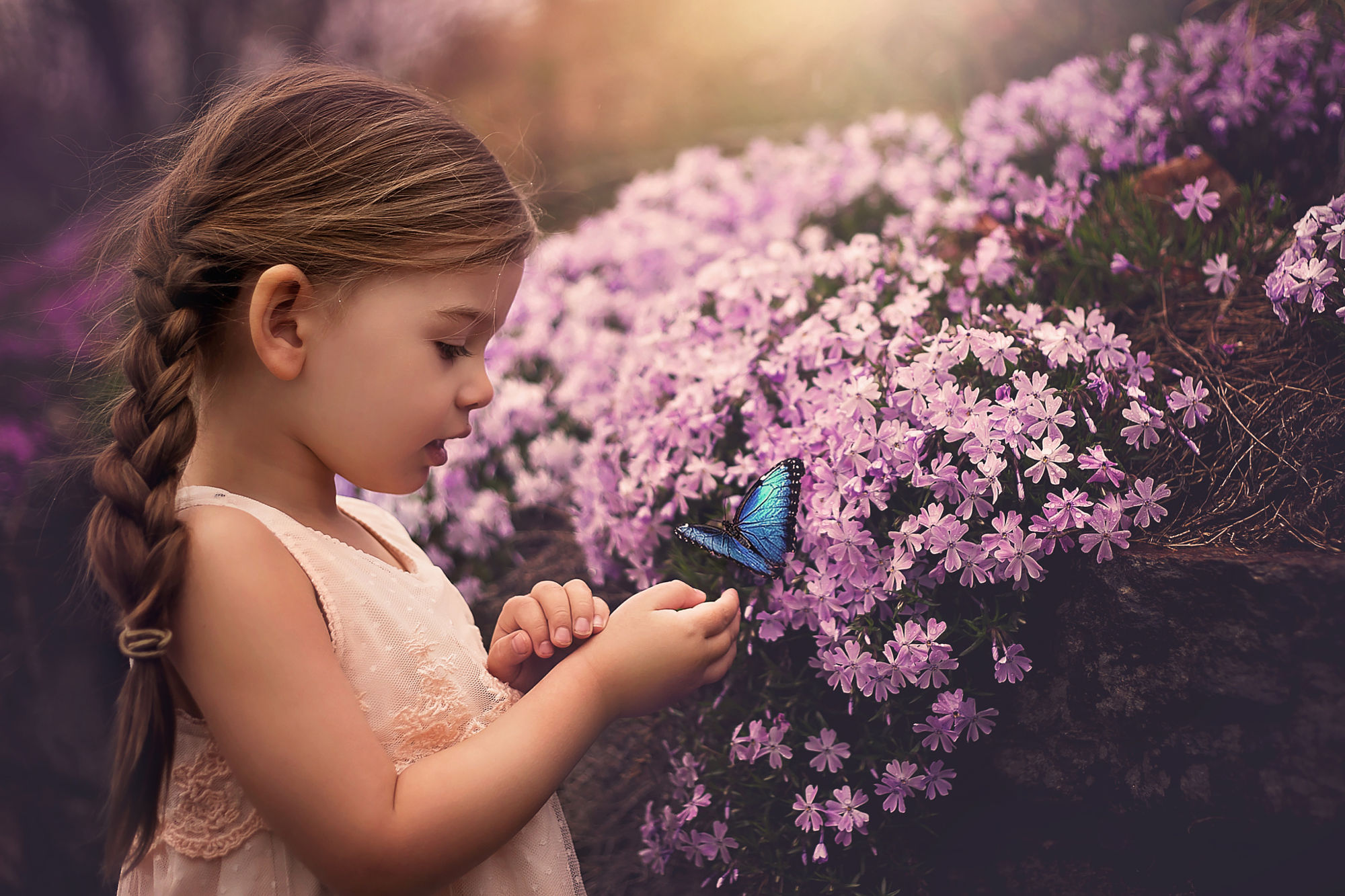 Скачать картинку Цветок, Бабочка, Ребенок, Милые, Фотографии, Коса, Розовый Цветок, Малышка в телефон бесплатно.
