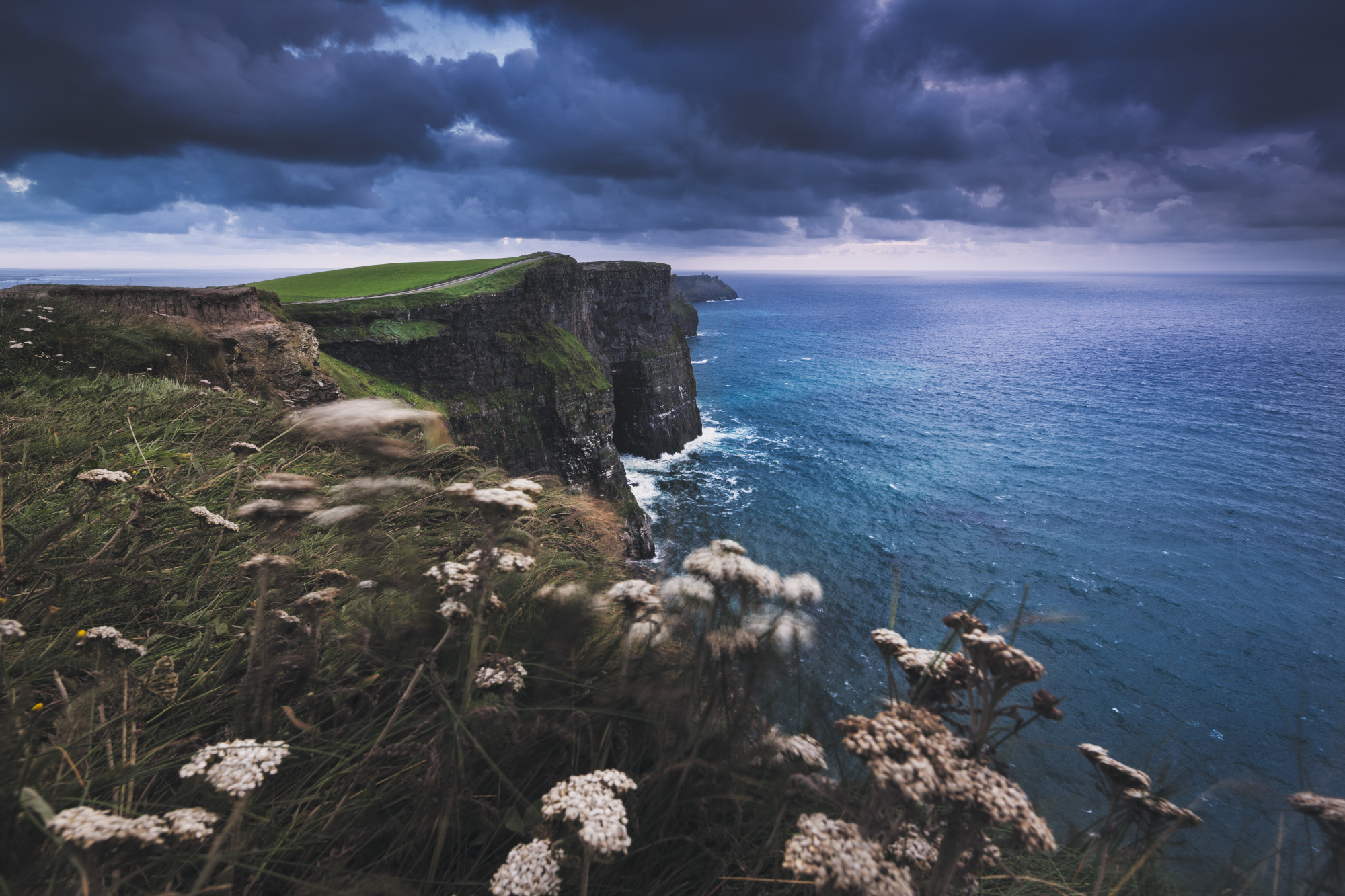 Download mobile wallpaper Nature, Sky, Horizon, Coast, Ocean, Earth, Cliff, Cloud, Coastline, White Flower for free.