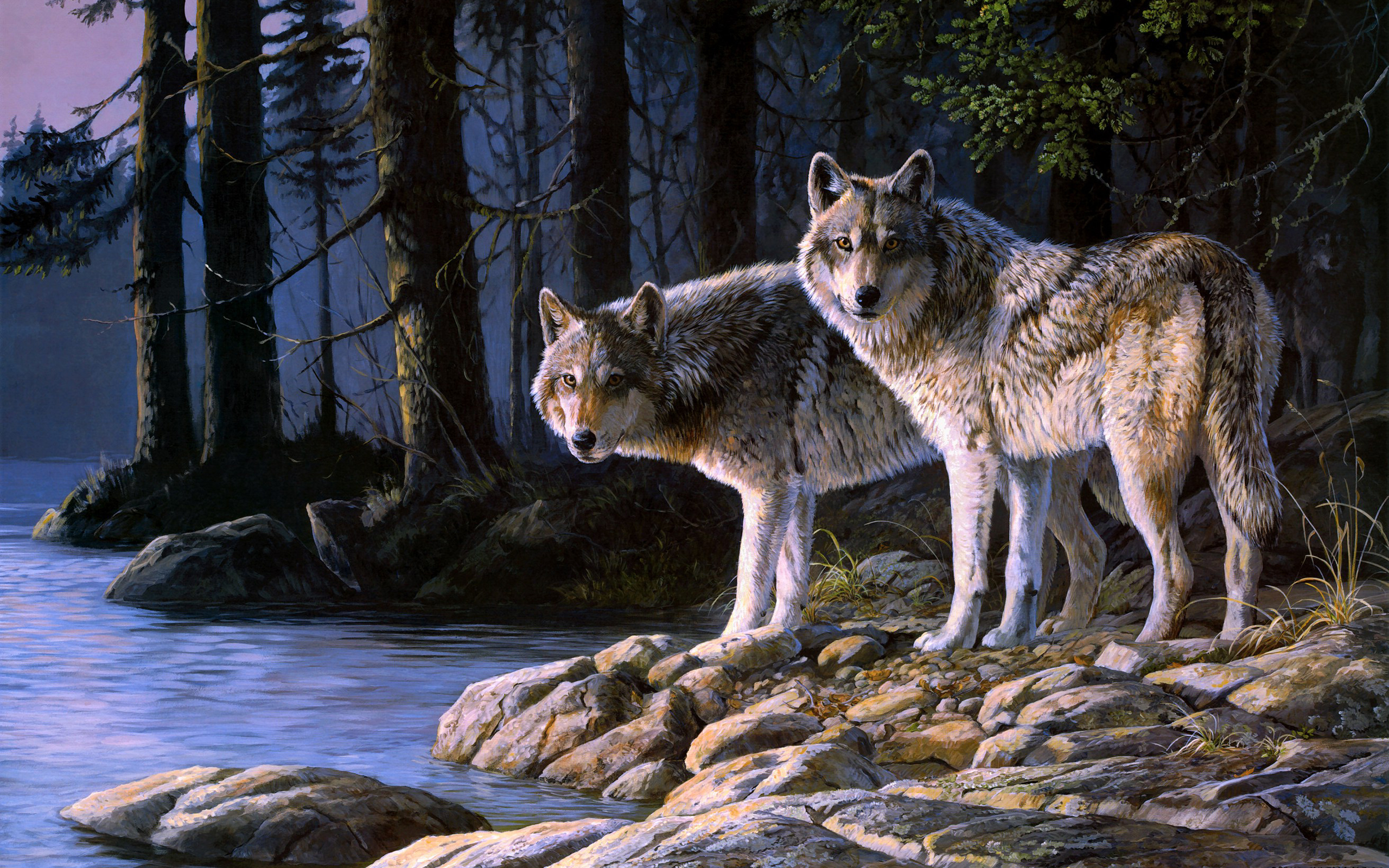 301079壁紙のダウンロード動物, 狼, オオカミ-スクリーンセーバーと写真を無料で