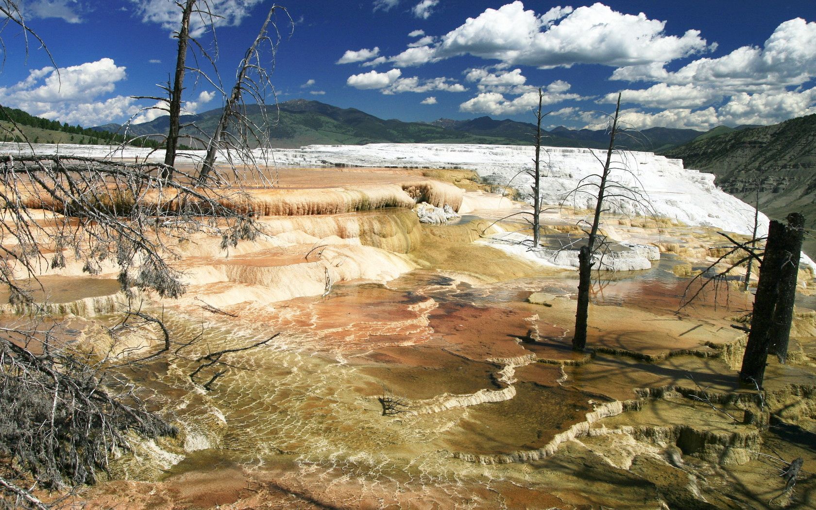 nature, rivers, source, reserve, yellowstone, thermal