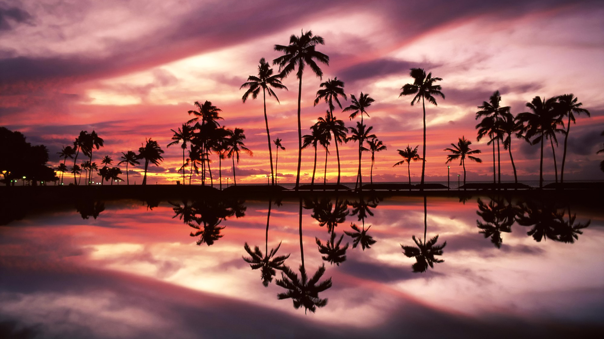Download mobile wallpaper Water, Sunset, Sky, Reflection, Silhouette, Tree, Purple, Photography, Palm Tree for free.