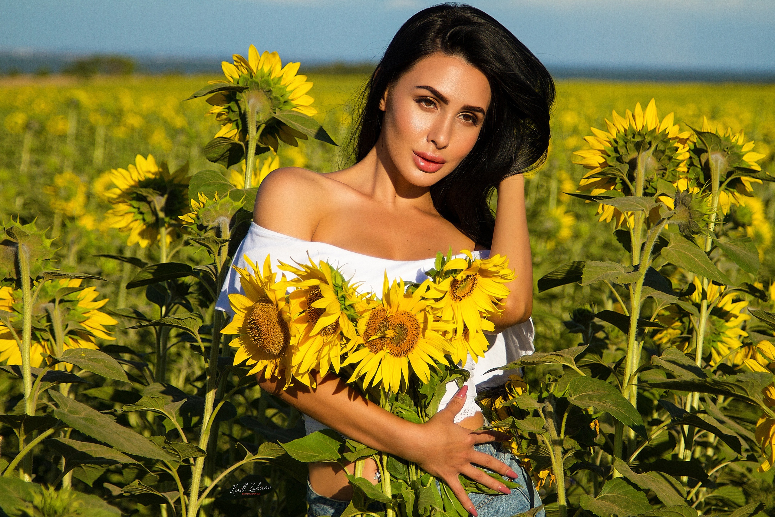 Free download wallpaper Summer, Sunflower, Model, Women, Brown Eyes, Black Hair, Depth Of Field on your PC desktop