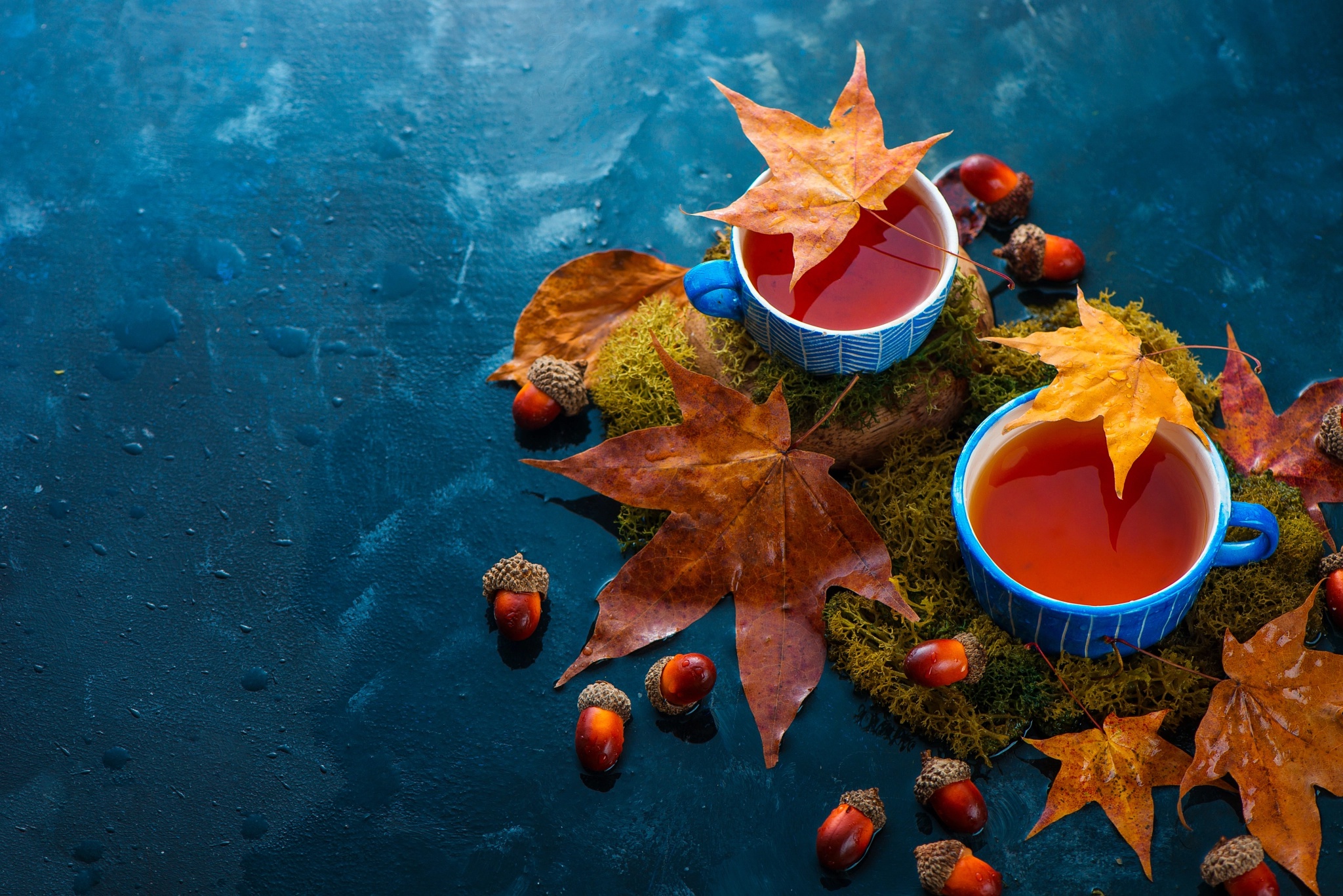 Free download wallpaper Food, Still Life, Cup, Leaf, Tea on your PC desktop