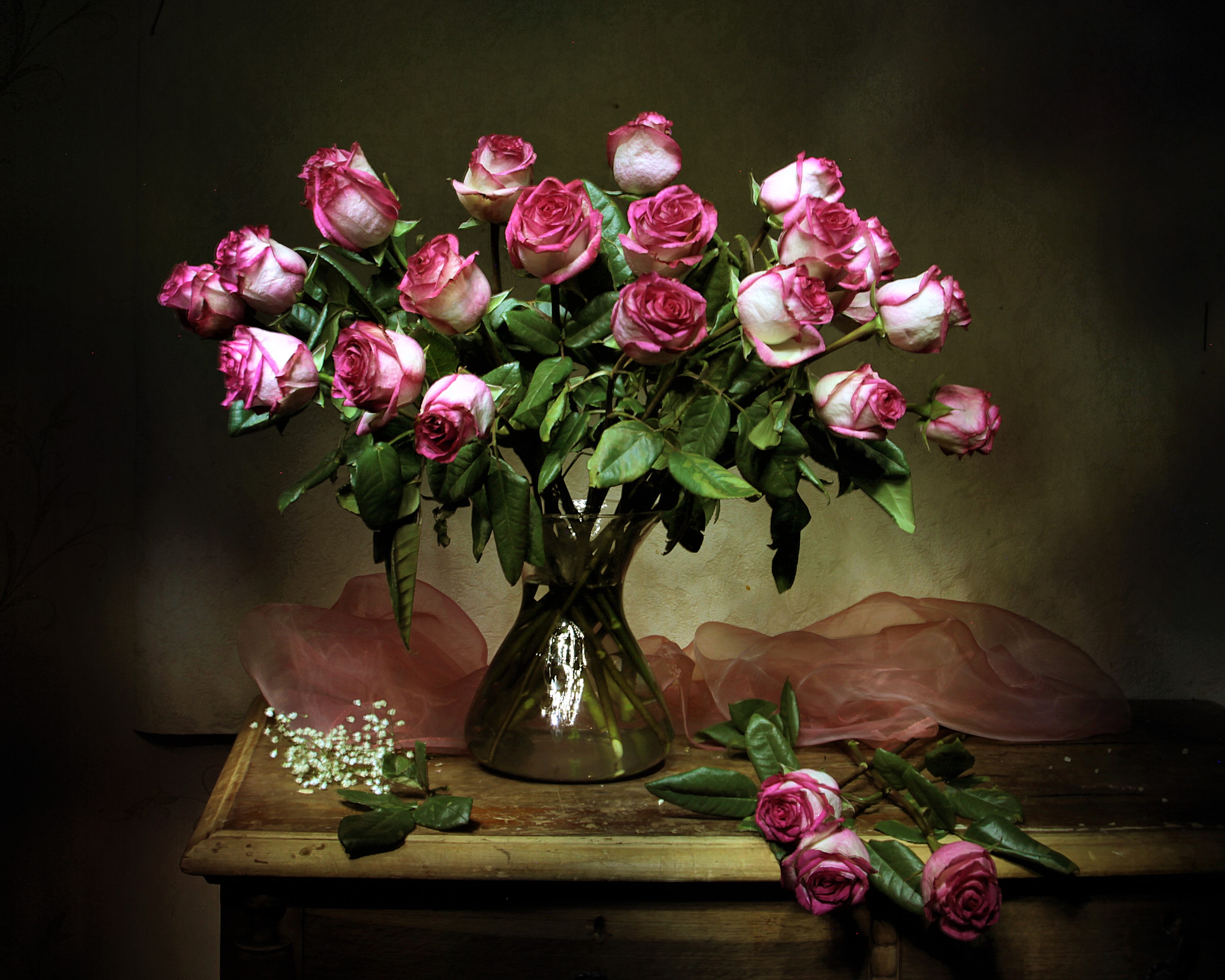 Download mobile wallpaper Still Life, Rose, Vase, Photography, Pink Rose, Baby's Breath for free.