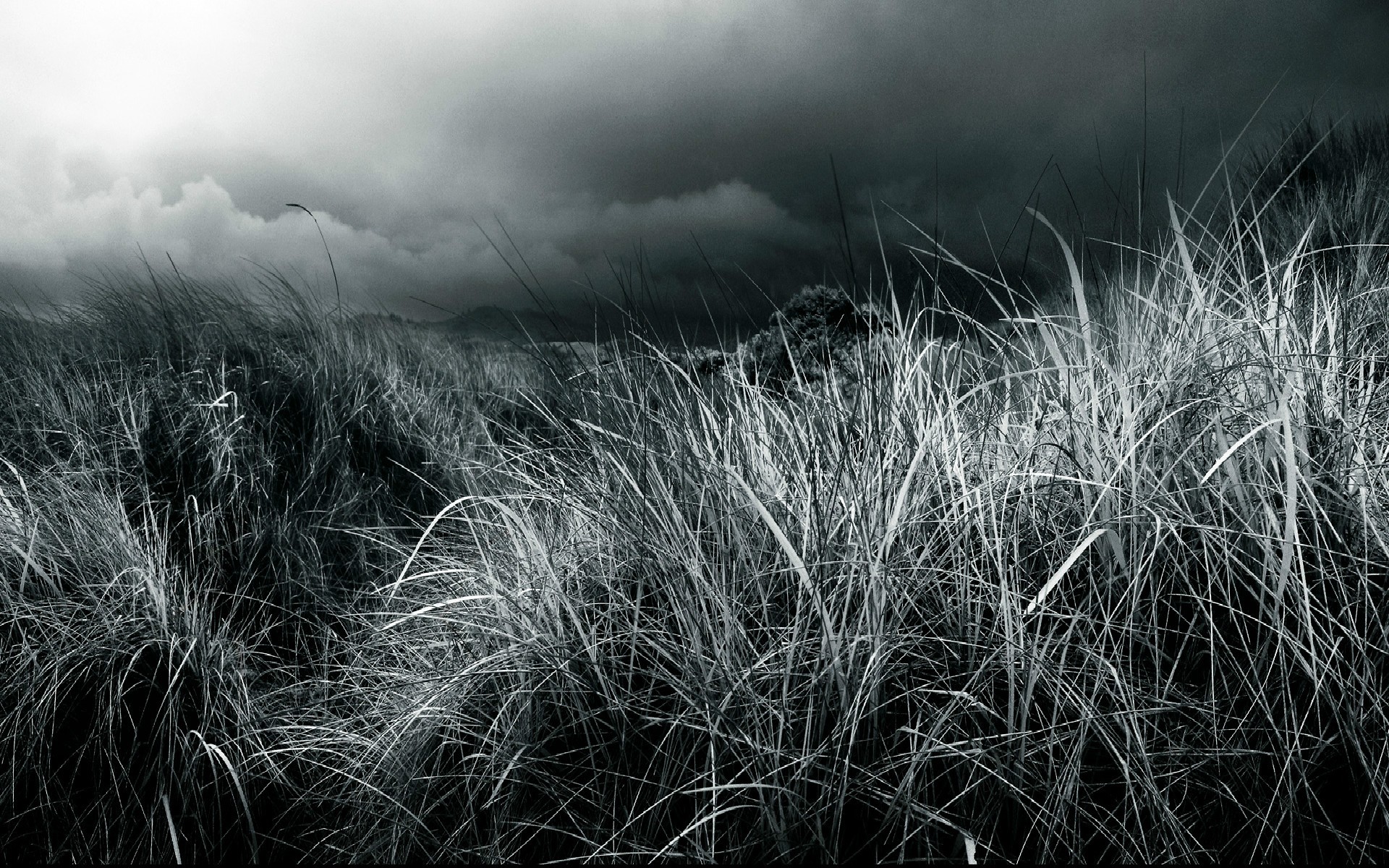Download mobile wallpaper Landscape, Grass, Cloud, Photography, Black & White for free.