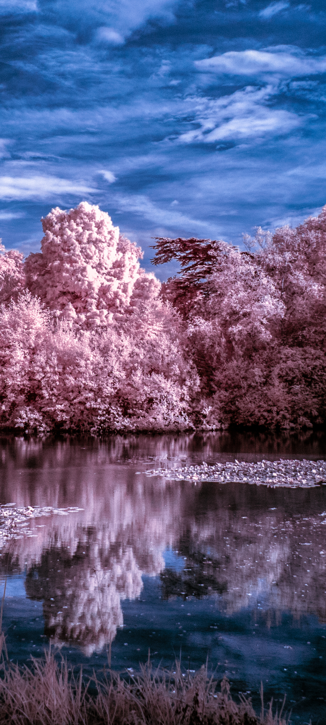 Descarga gratuita de fondo de pantalla para móvil de Naturaleza, Tierra/naturaleza, Reflejo.