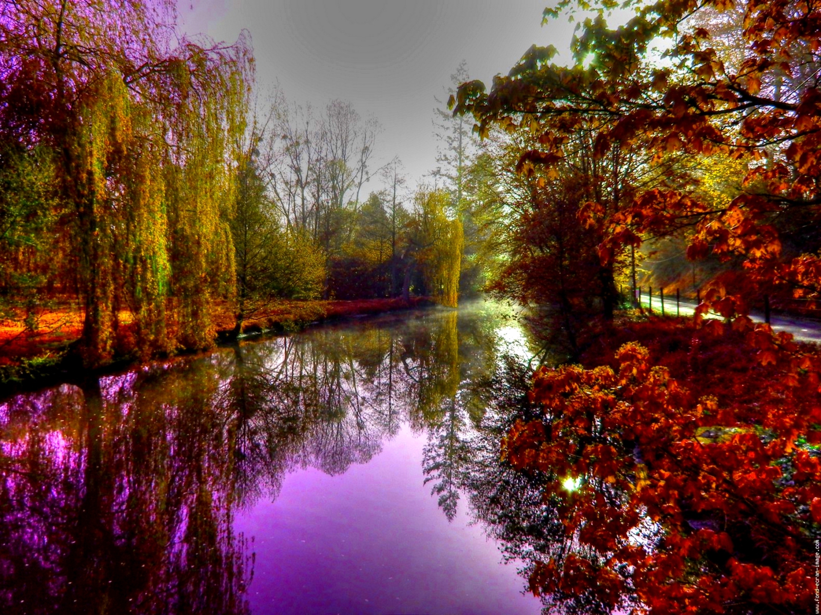 Скачать обои бесплатно Осень, Озеро, Дерево, Красочный, Пурпурный, Живописный, Земля/природа картинка на рабочий стол ПК
