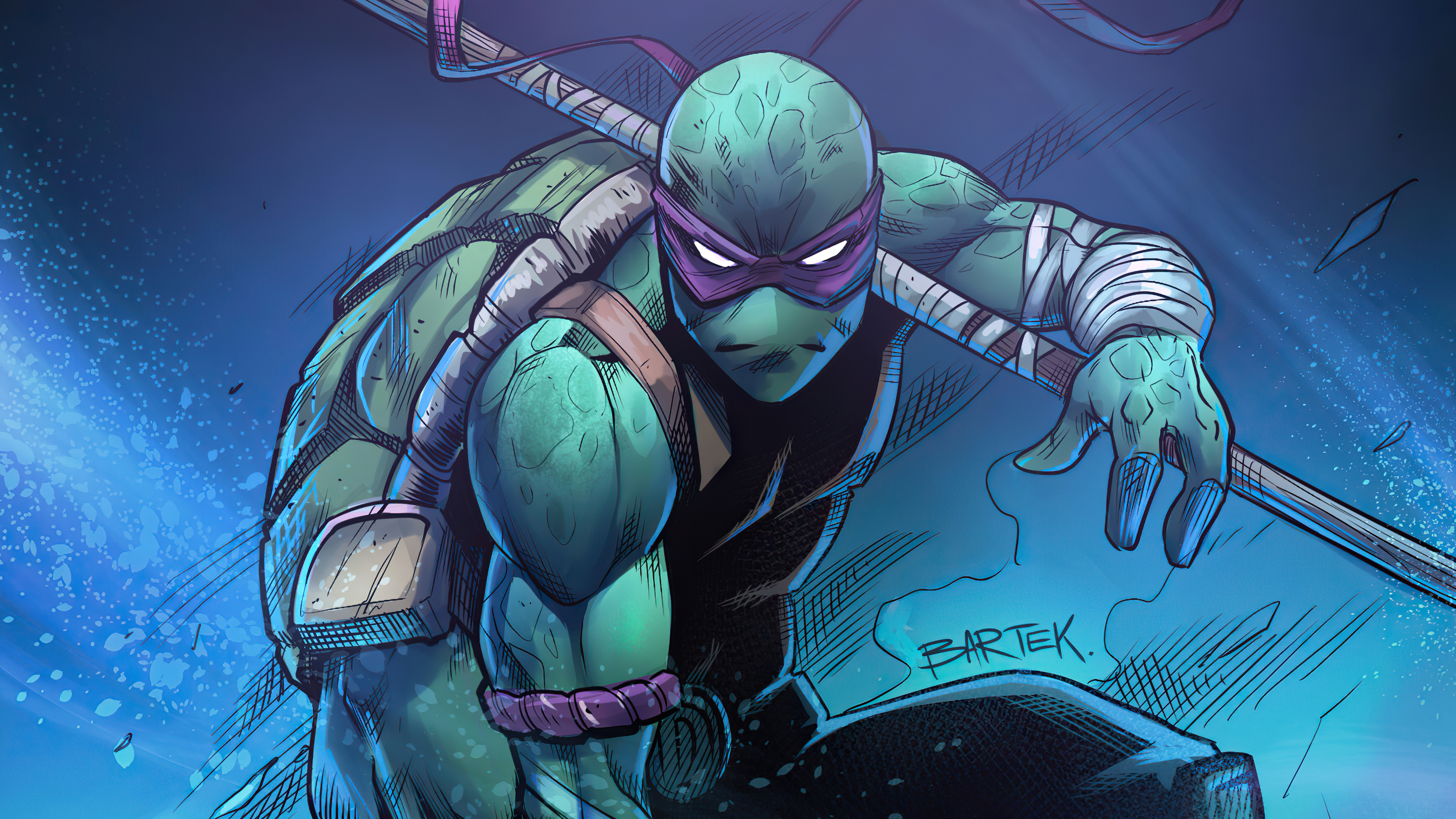 Free download wallpaper Teenage Mutant Ninja Turtles, Donatello (Tmnt), Comics on your PC desktop