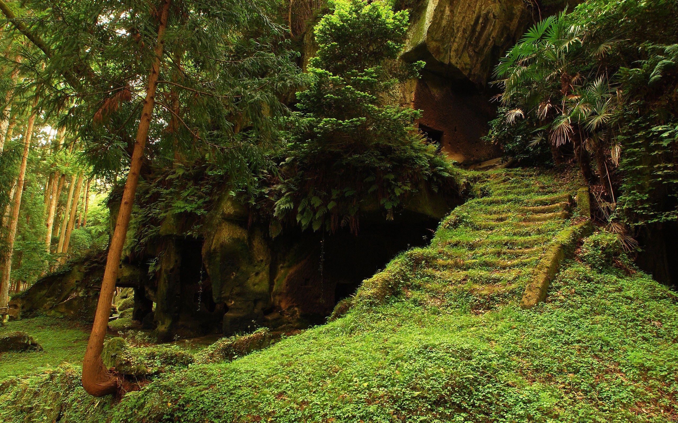 Handy-Wallpaper Landschaft, Erde/natur kostenlos herunterladen.