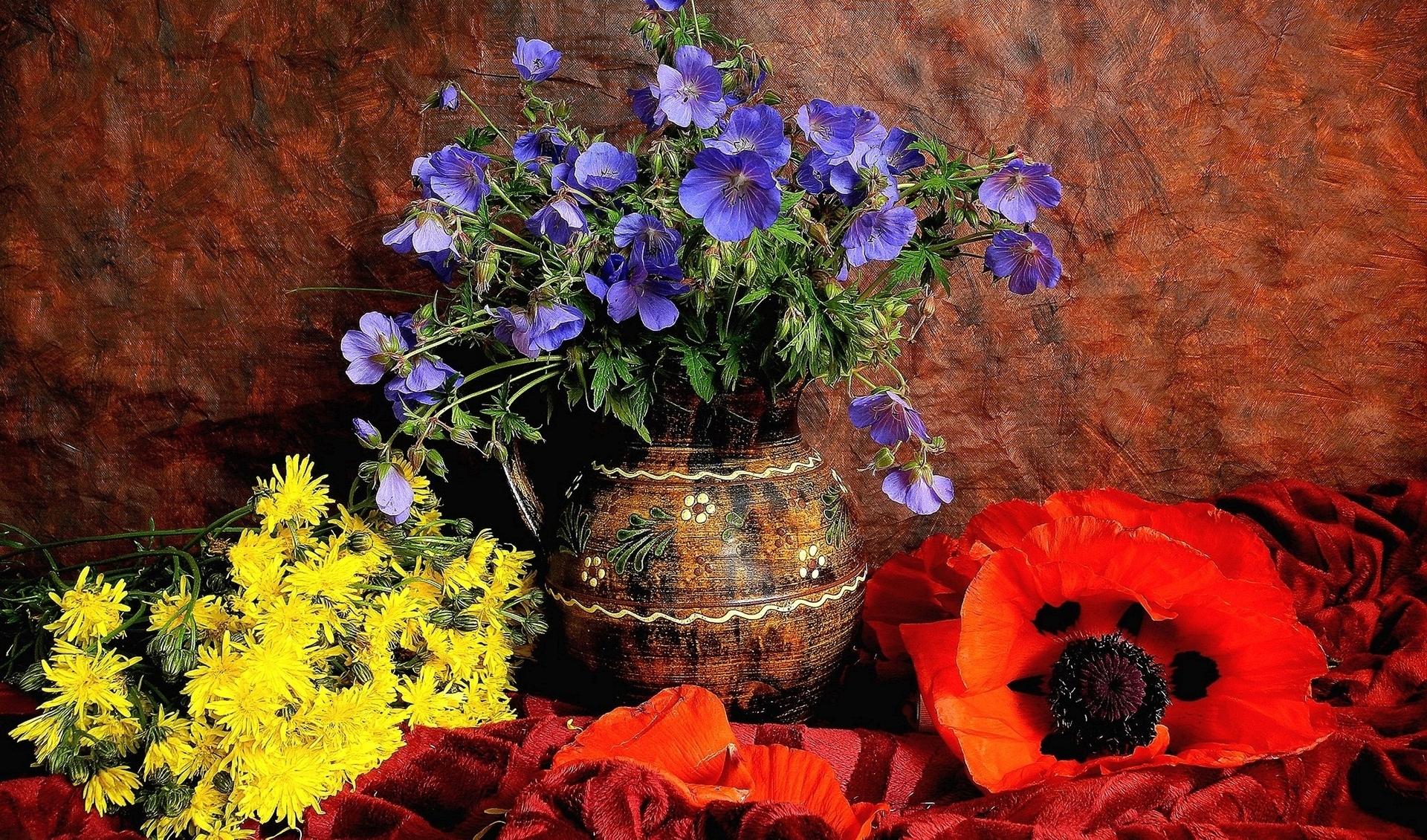Free download wallpaper Still Life, Flower, Vase, Colorful, Poppy, Photography, Yellow Flower, Red Flower, Blue Flower on your PC desktop