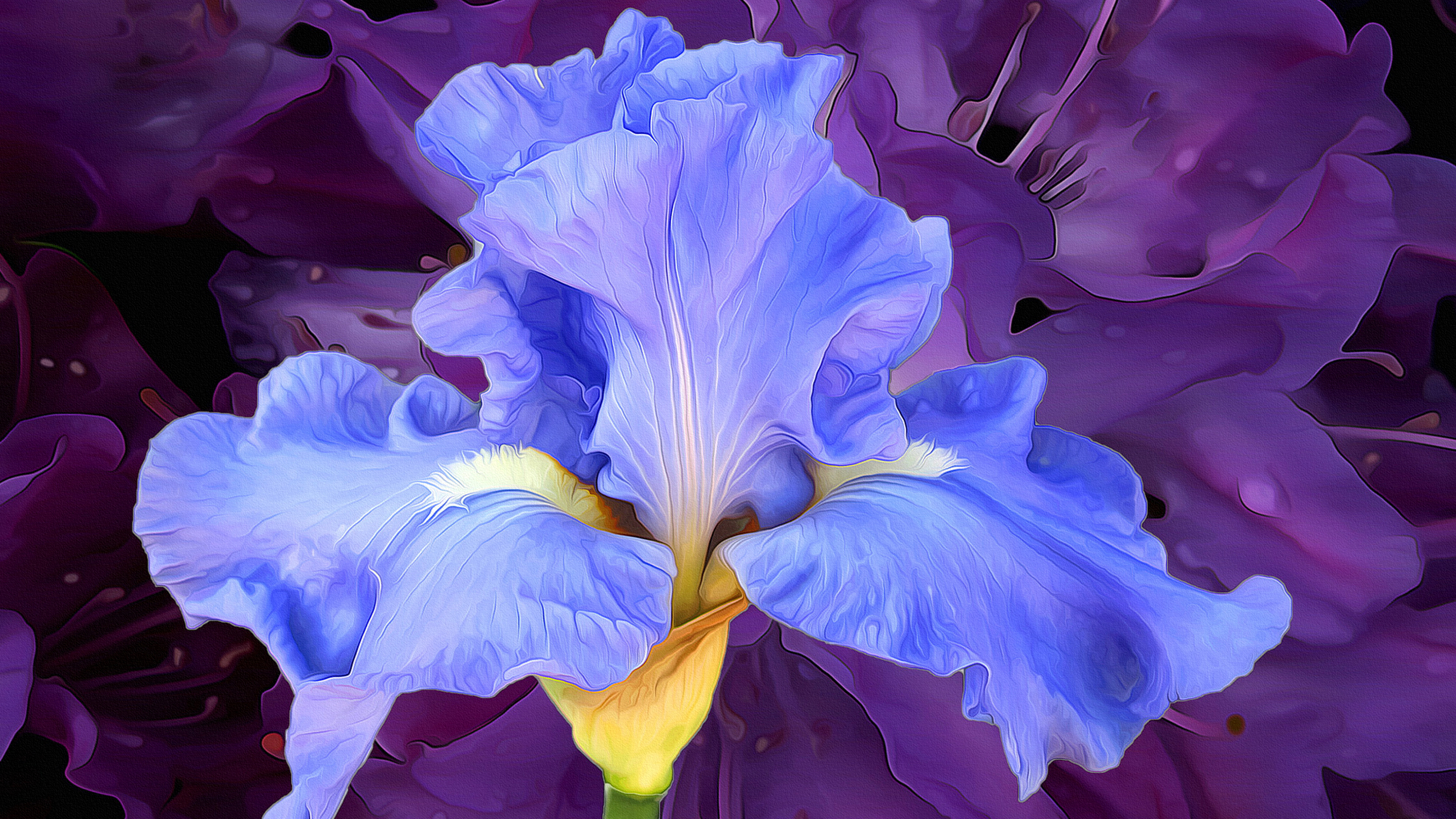 無料モバイル壁紙花, 青い, ペインティング, 芸術的, 虹彩をダウンロードします。