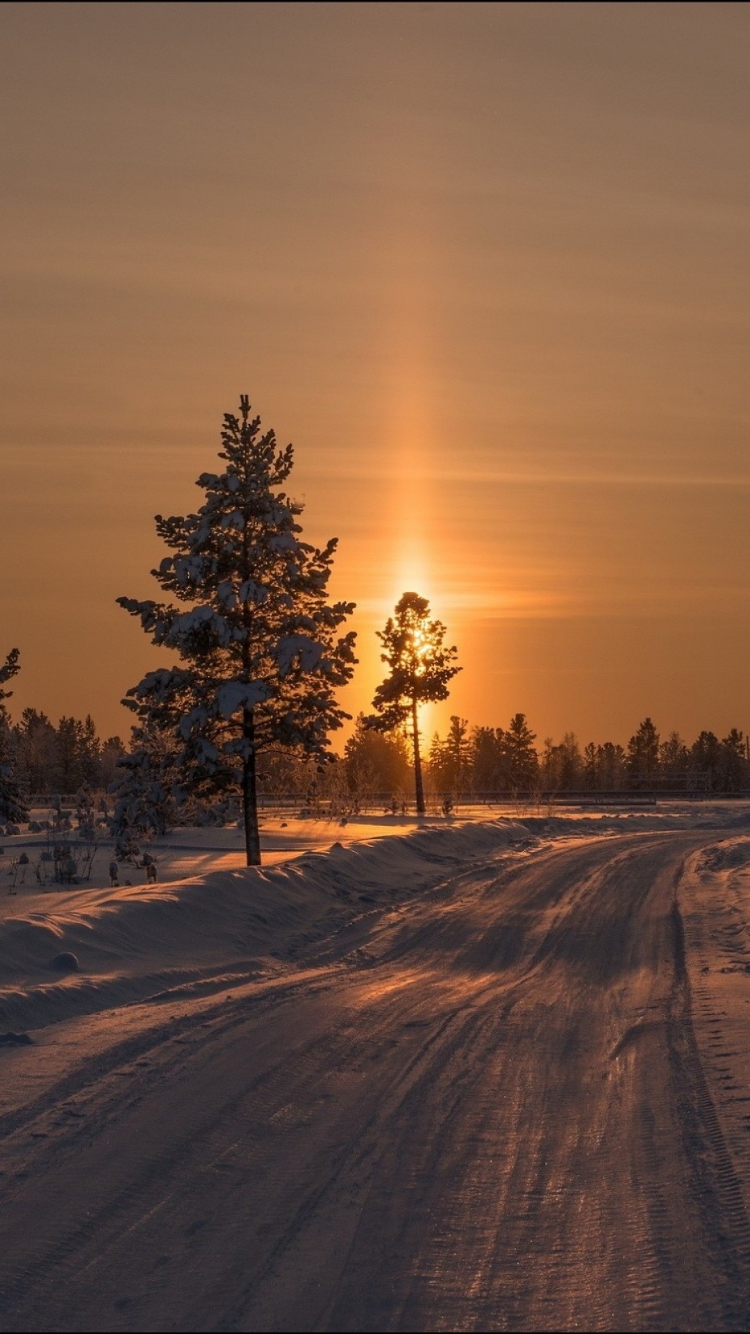 Download mobile wallpaper Winter, Sunset, Road, Tree, Earth, Fir Tree for free.