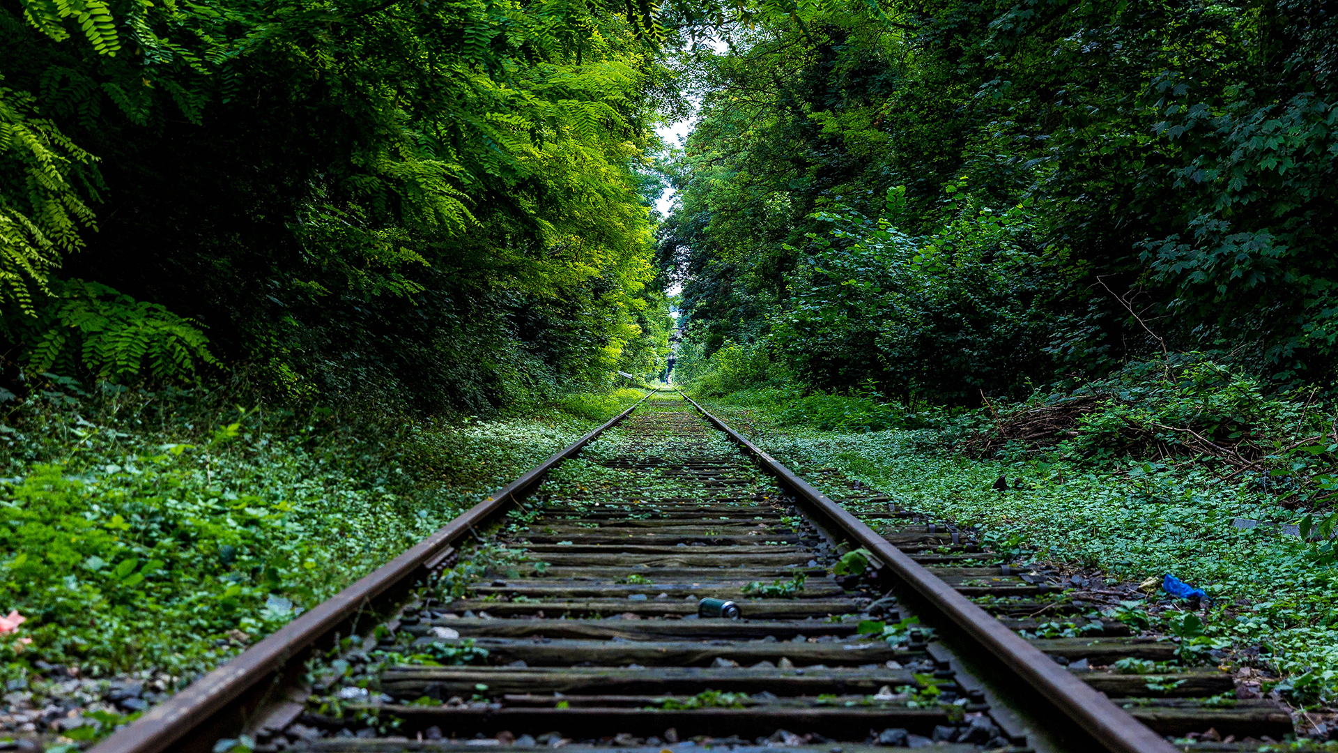 Free download wallpaper Forest, Railroad, Man Made on your PC desktop