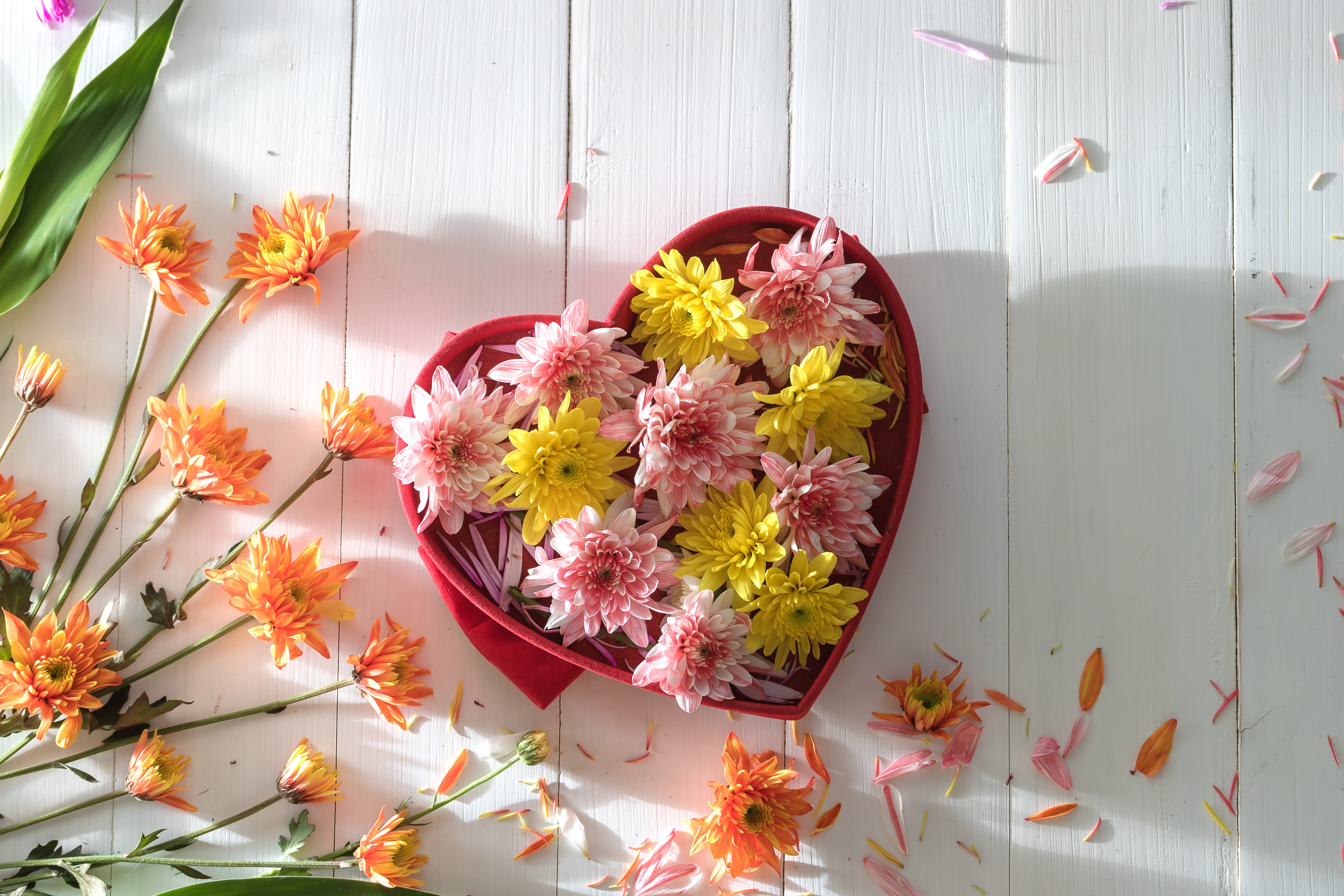 Free download wallpaper Chrysanthemum, Still Life, Flower, Yellow Flower, Man Made, Pink Flower, Heart Shaped, Orange Flower on your PC desktop