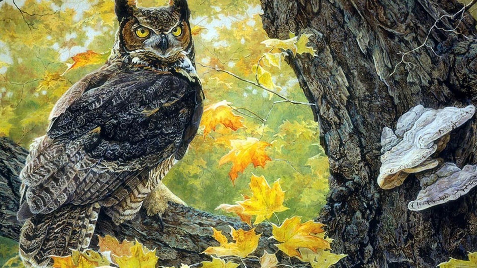 Free download wallpaper Owl, Tree, Branch, Painting, Artistic, Resting on your PC desktop