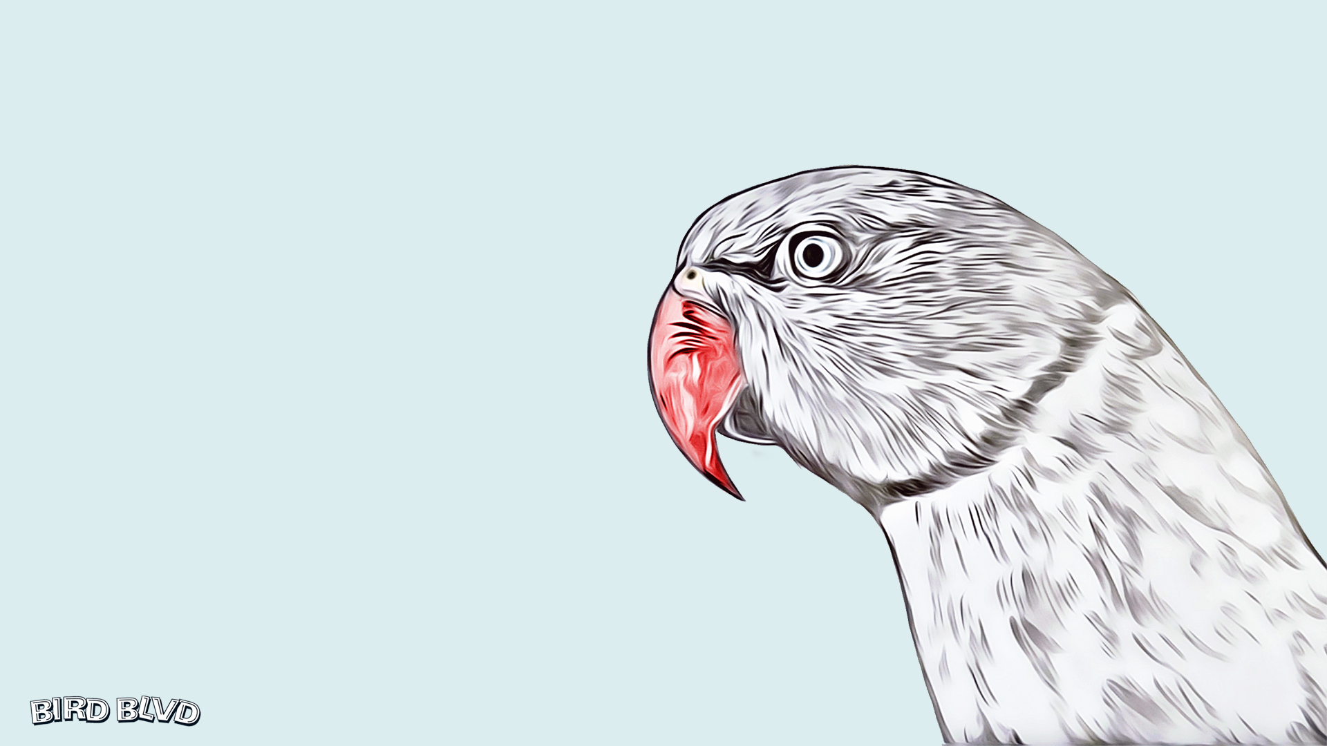 Download mobile wallpaper Birds, Vector, Bird, Animal, Parakeet, Rose Ringed Parakeet for free.