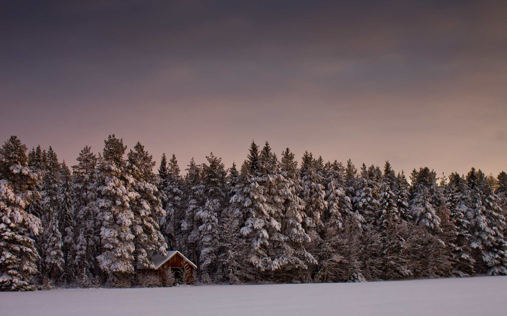 Descarga gratuita de fondo de pantalla para móvil de Invierno, Fotografía.