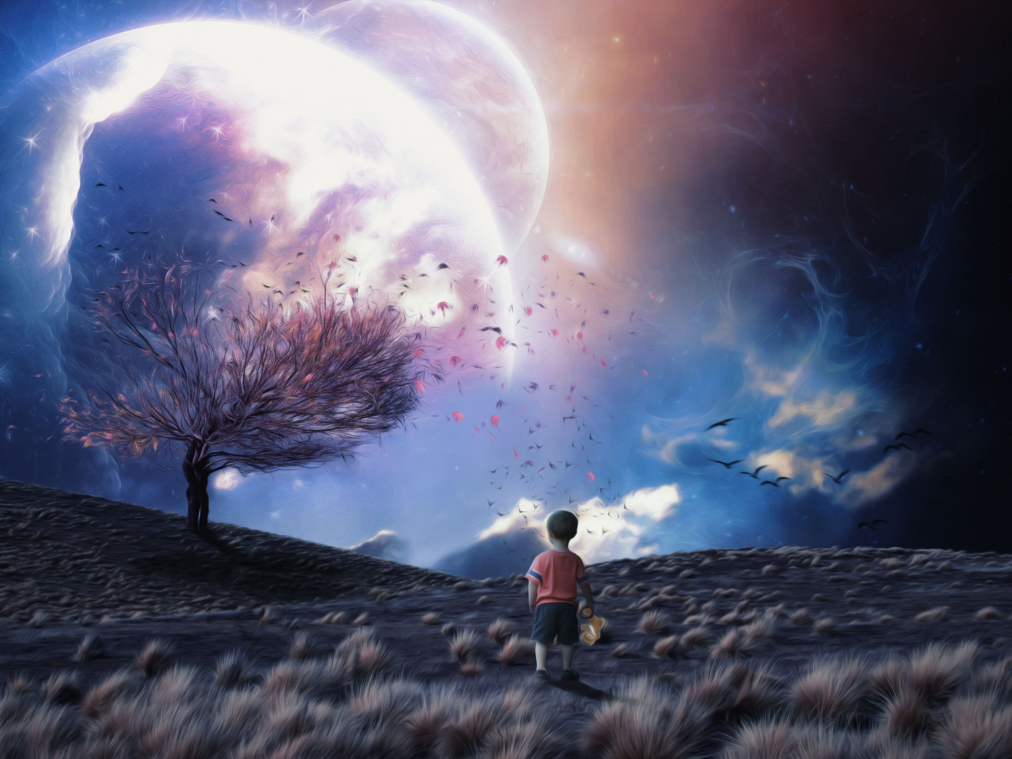 Download mobile wallpaper Fantasy, Field, Planet, Child for free.