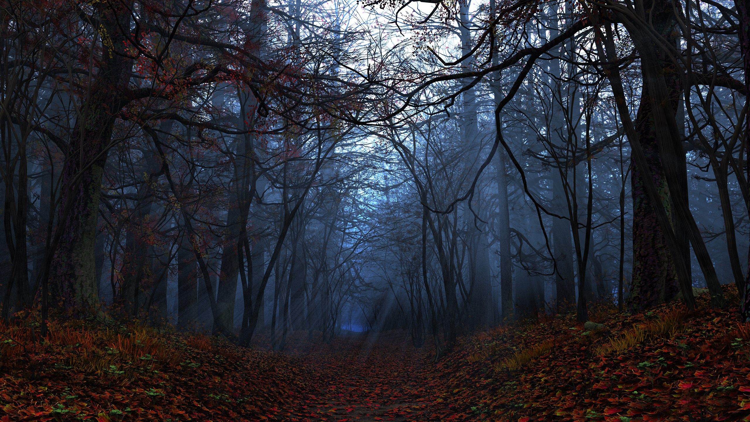 Téléchargez gratuitement l'image Forêt, Terre/nature sur le bureau de votre PC