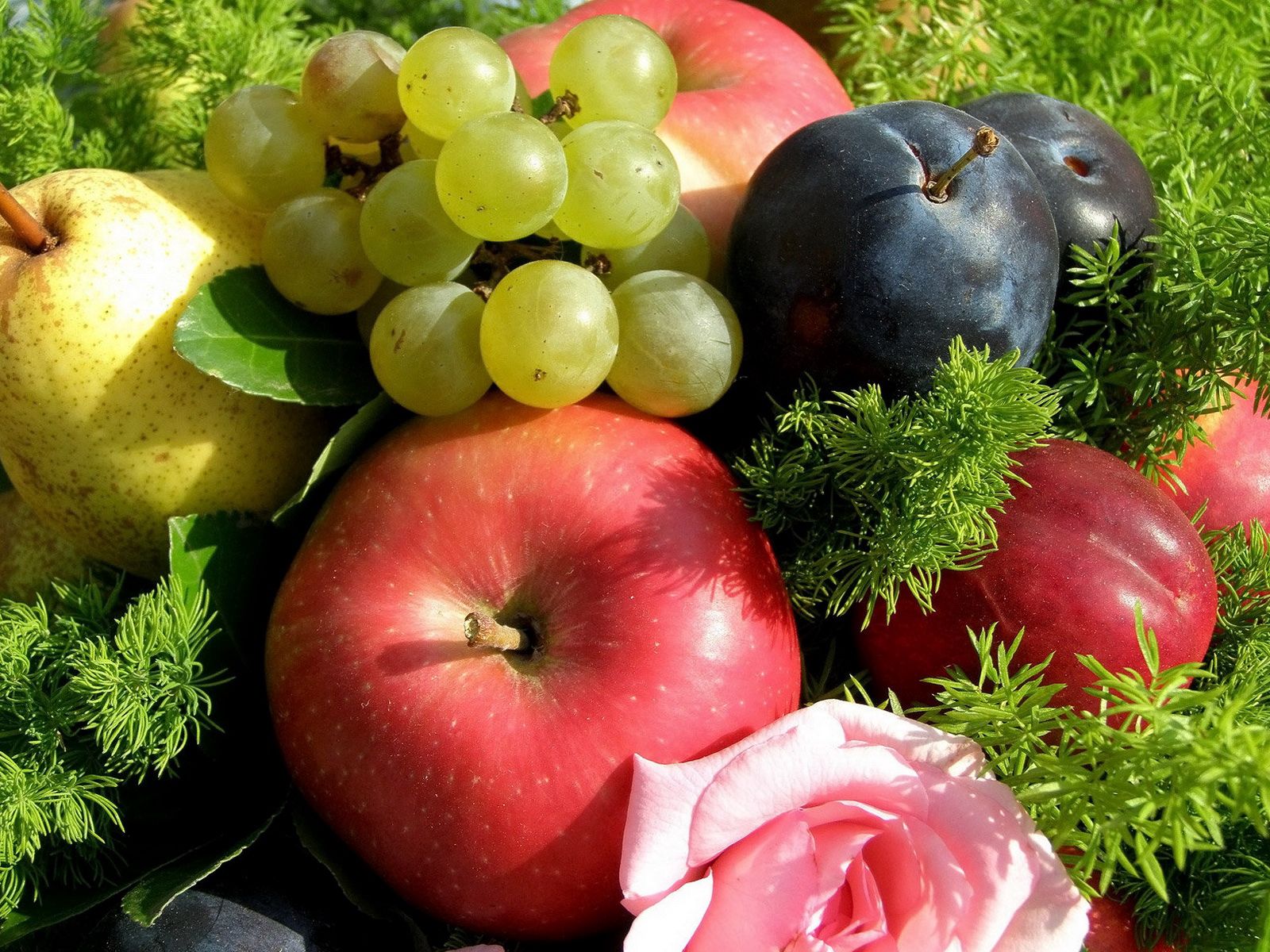 118387 baixar papel de parede frutas, comida, grama, maçãs, uvas, ameixa - protetores de tela e imagens gratuitamente