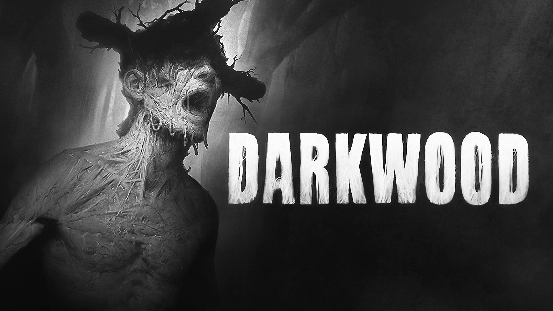 Descarga gratuita de fondo de pantalla para móvil de Videojuego, Darkwood.