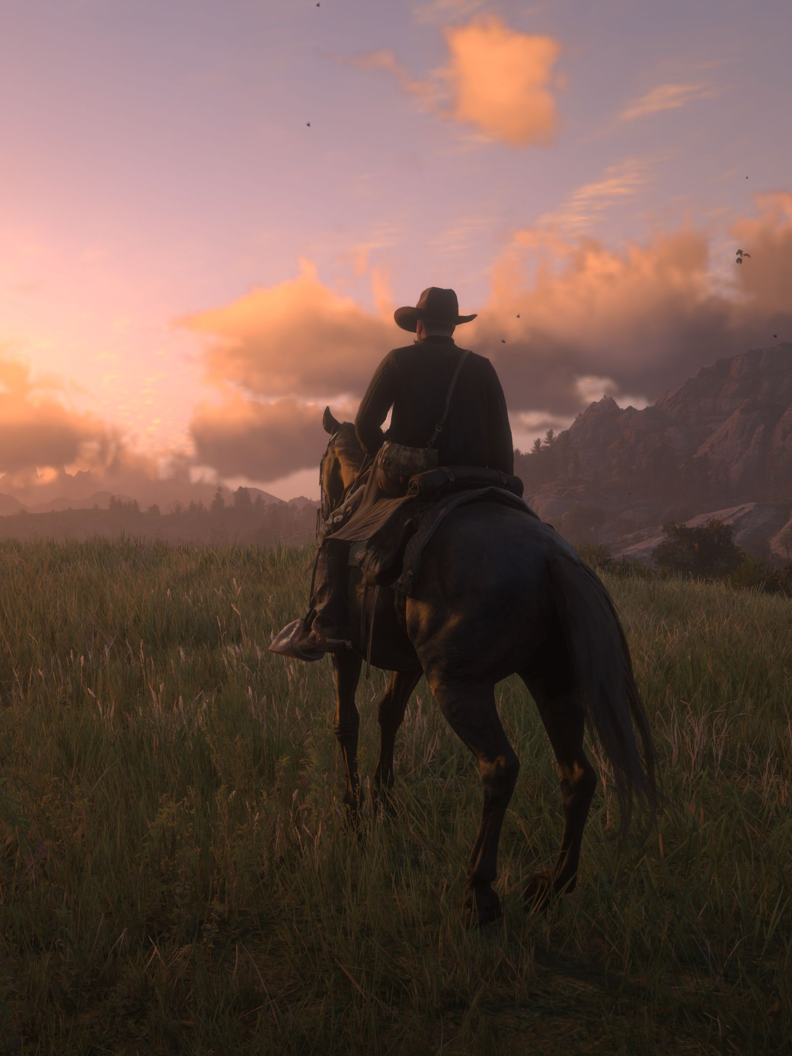 Download mobile wallpaper Video Game, Red Dead Redemption 2, Red Dead for free.