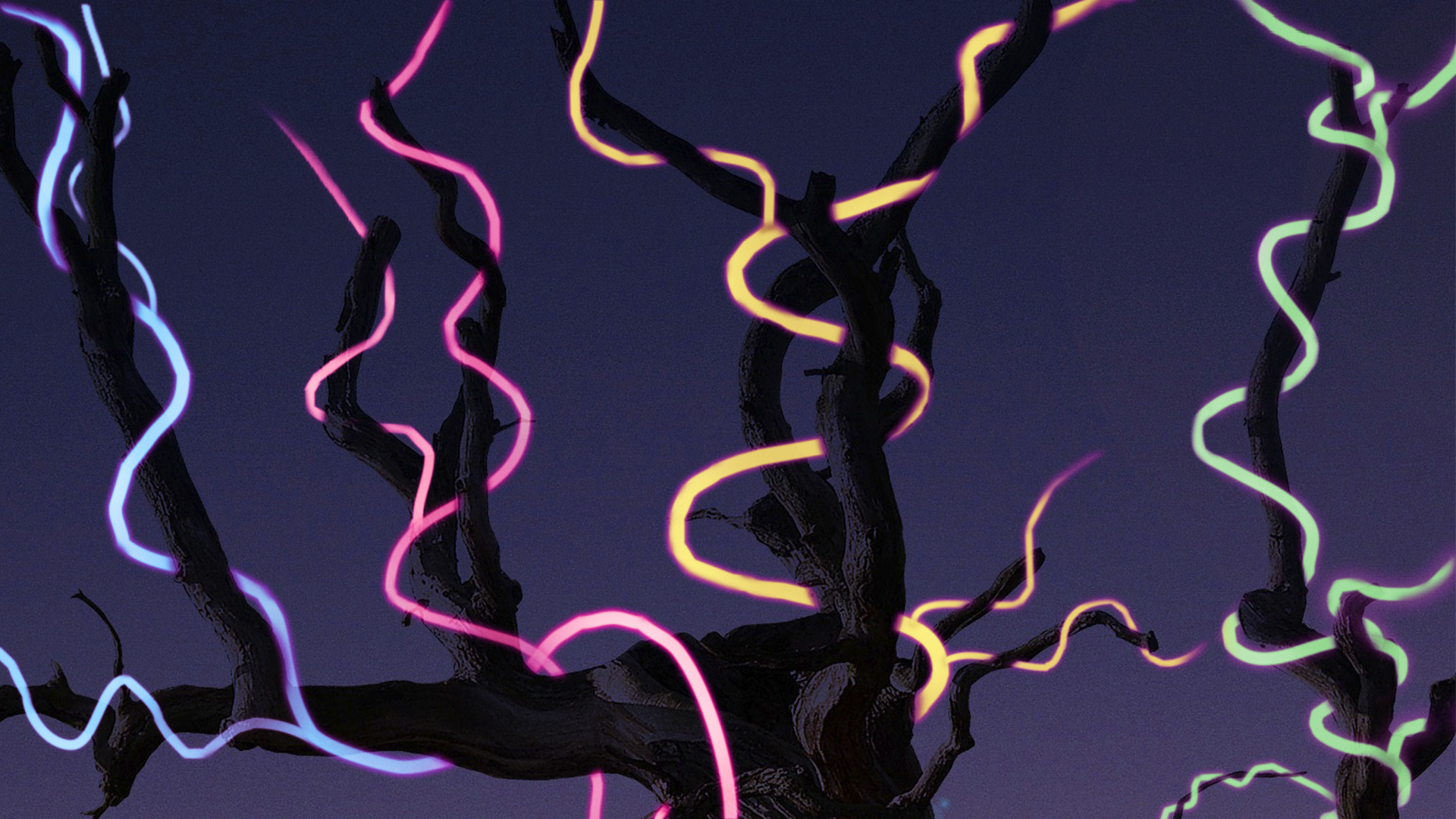 Free download wallpaper Light, Tree, Artistic on your PC desktop