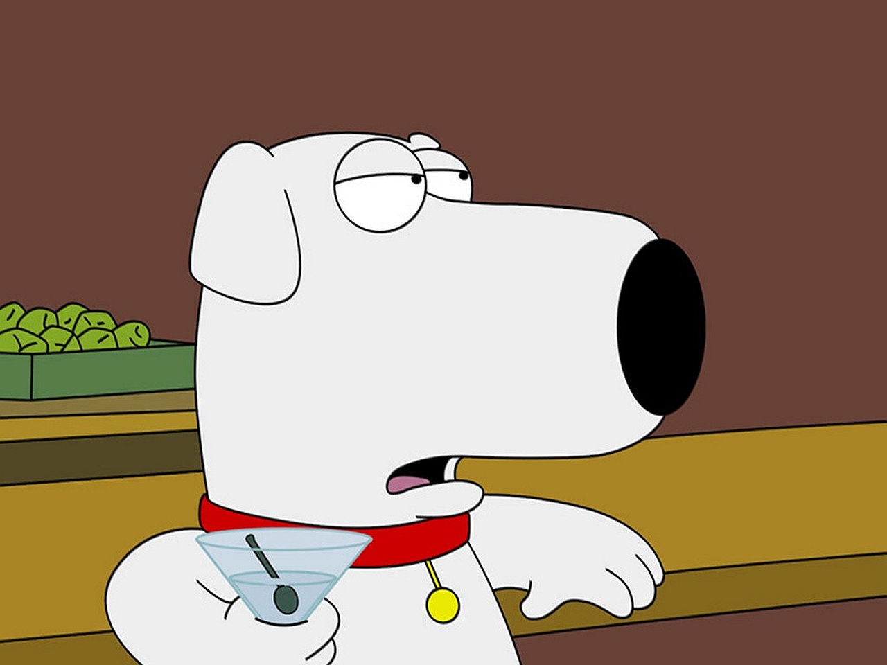 tv show, brian griffin, family guy