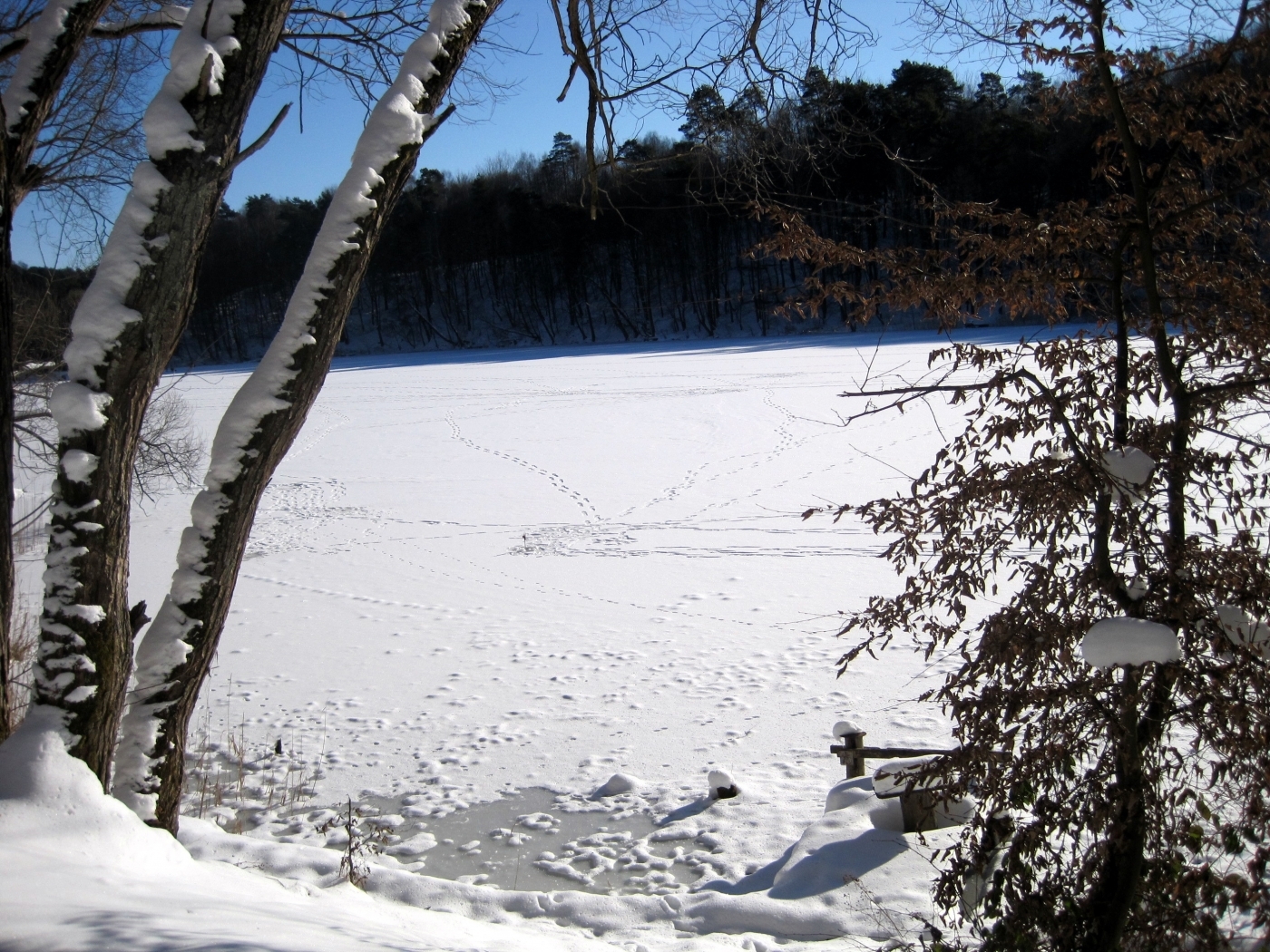 無料モバイル壁紙川, 風景, 冬, 木, 雪をダウンロードします。