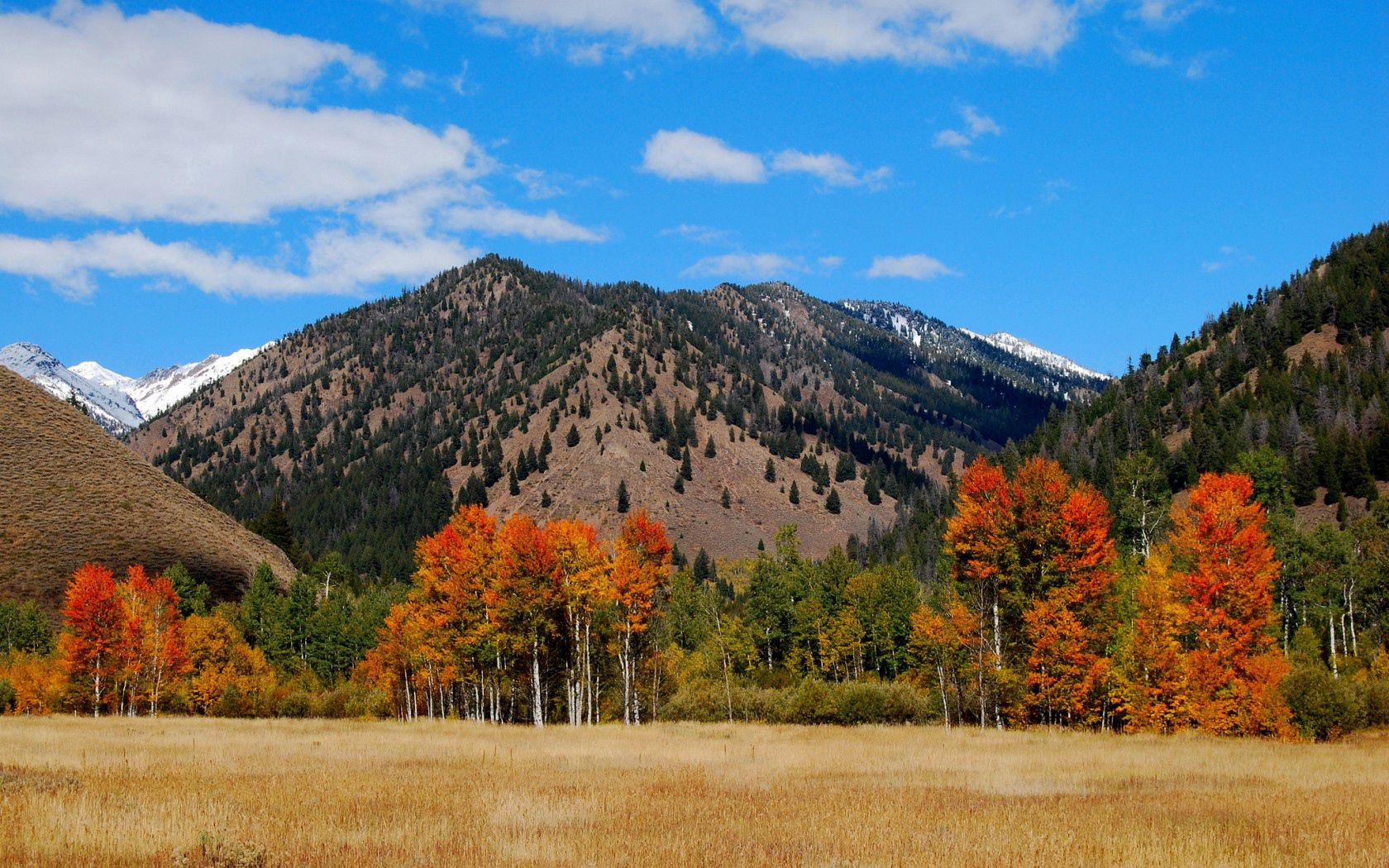 Laden Sie das Bäume, Clouds, Natur, Sky, Mountains-Bild kostenlos auf Ihren PC-Desktop herunter