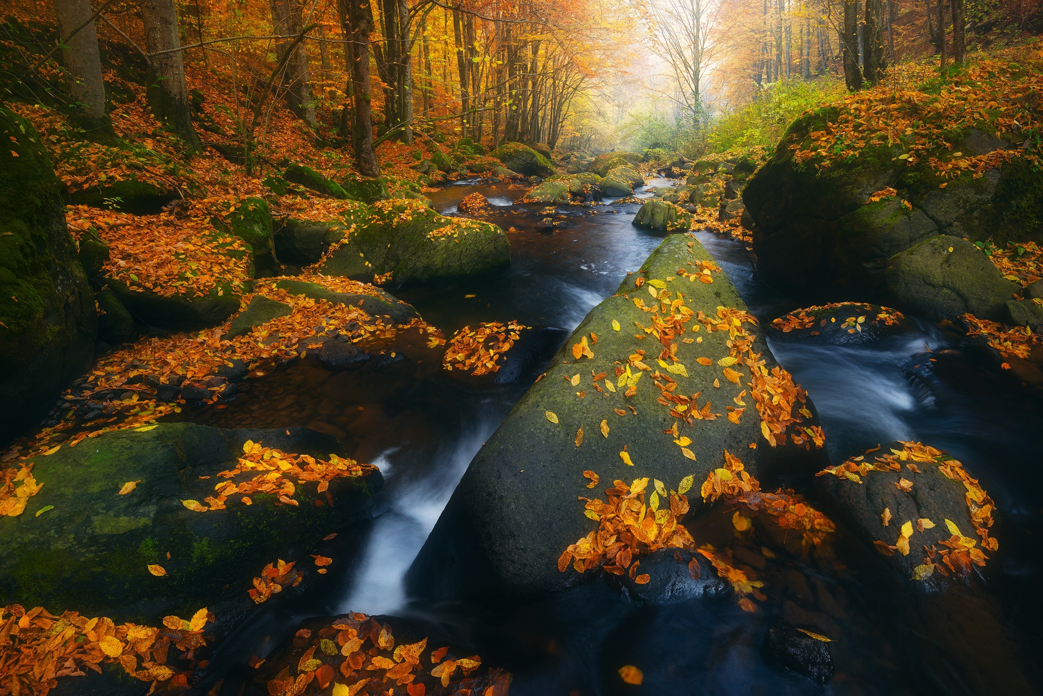 Download mobile wallpaper Nature, Fall, Earth, Stream for free.