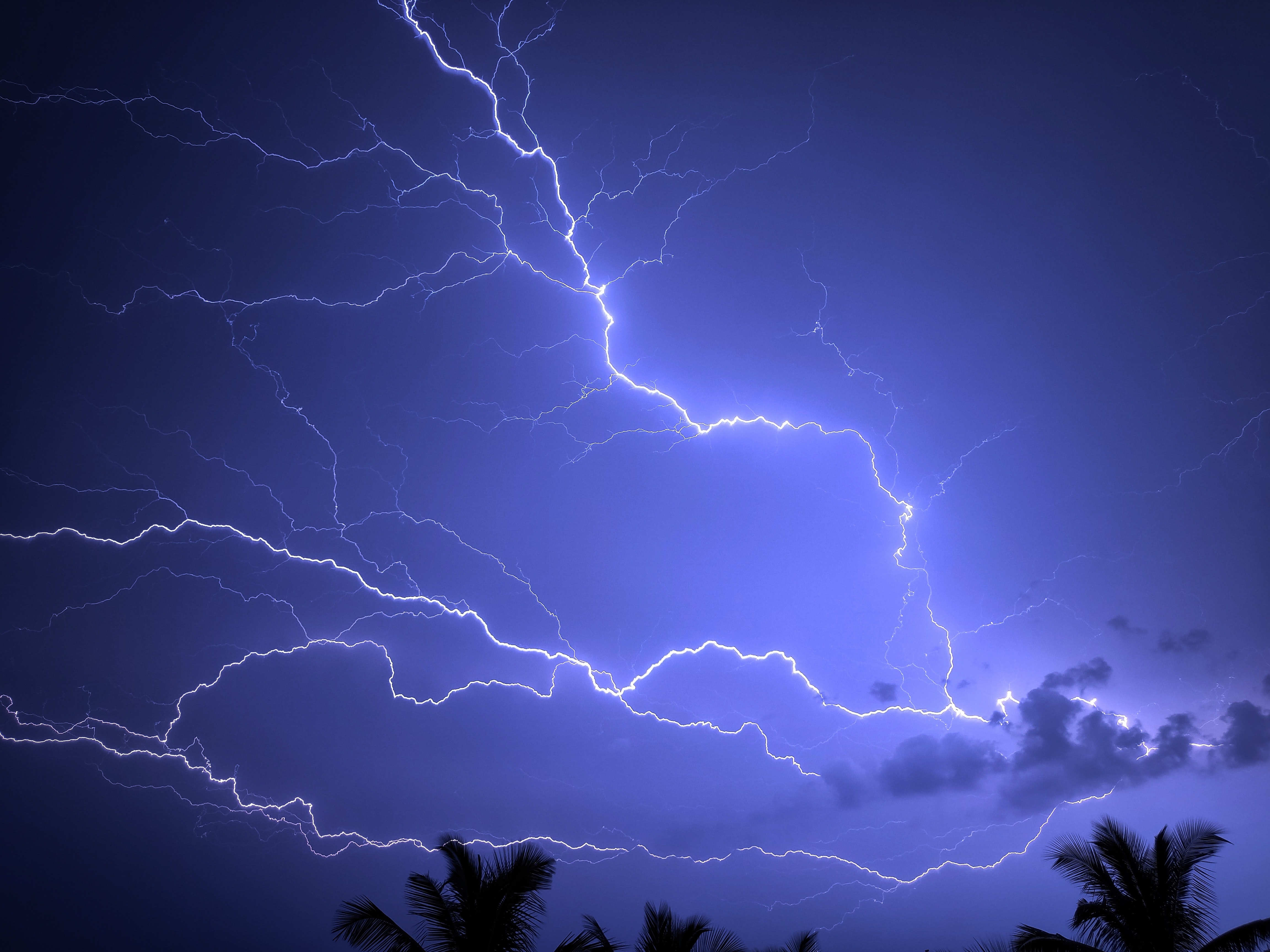 lightning, sky, nature, palms, storm Full HD