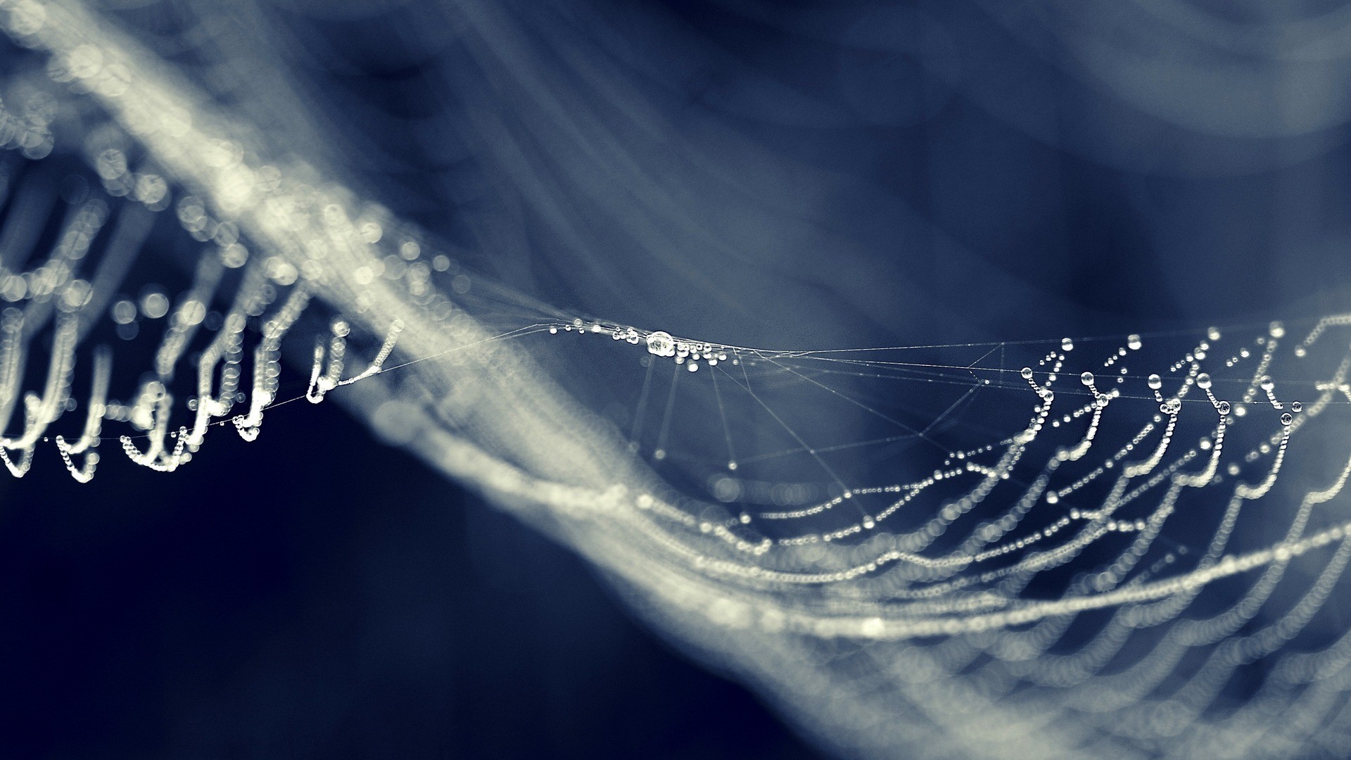 Download mobile wallpaper Spider Web, Blur, Water Drop, Macro, Photography for free.