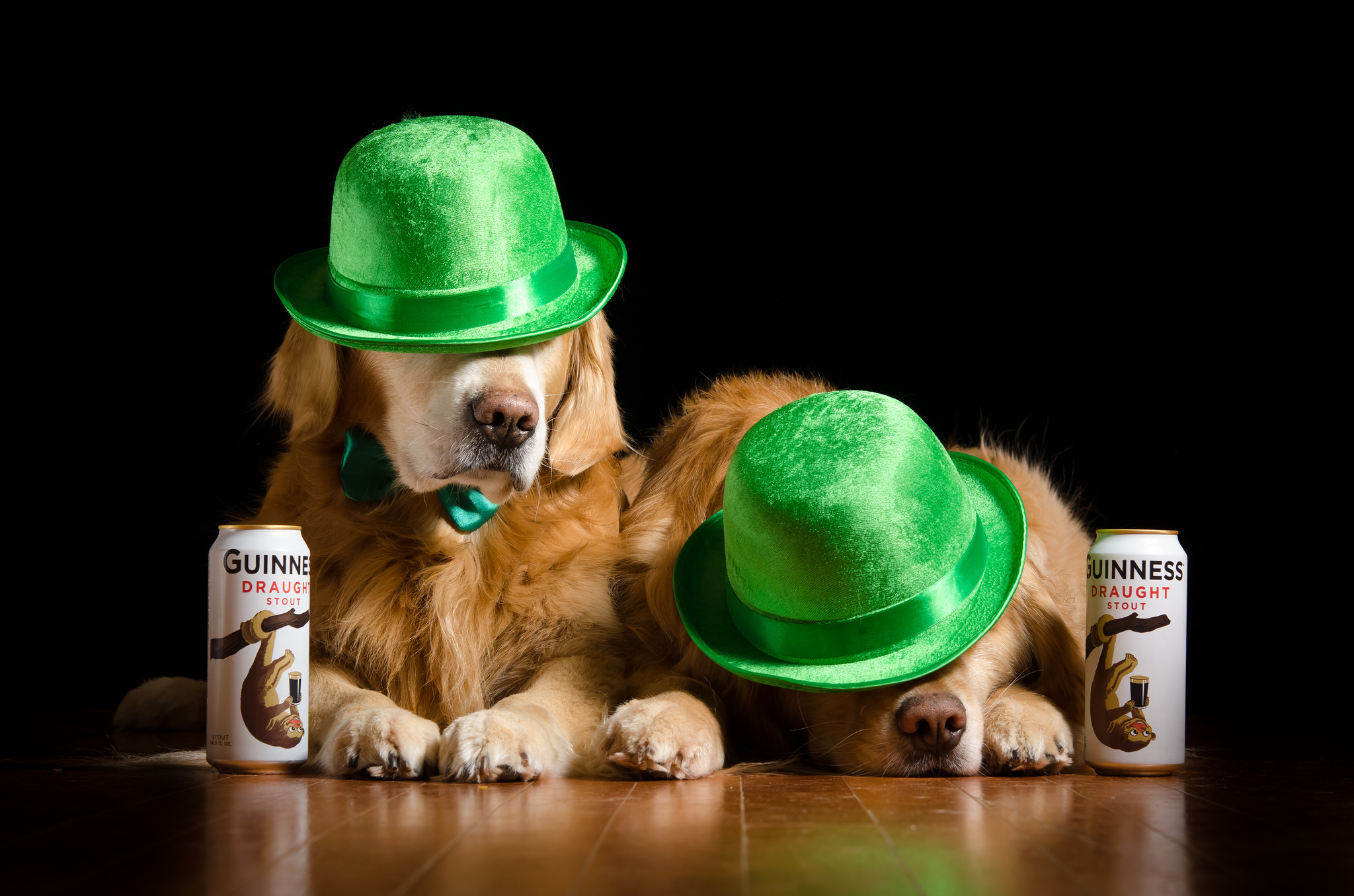 Download mobile wallpaper Dogs, Beer, Dog, Animal, Golden Retriever, Hat for free.