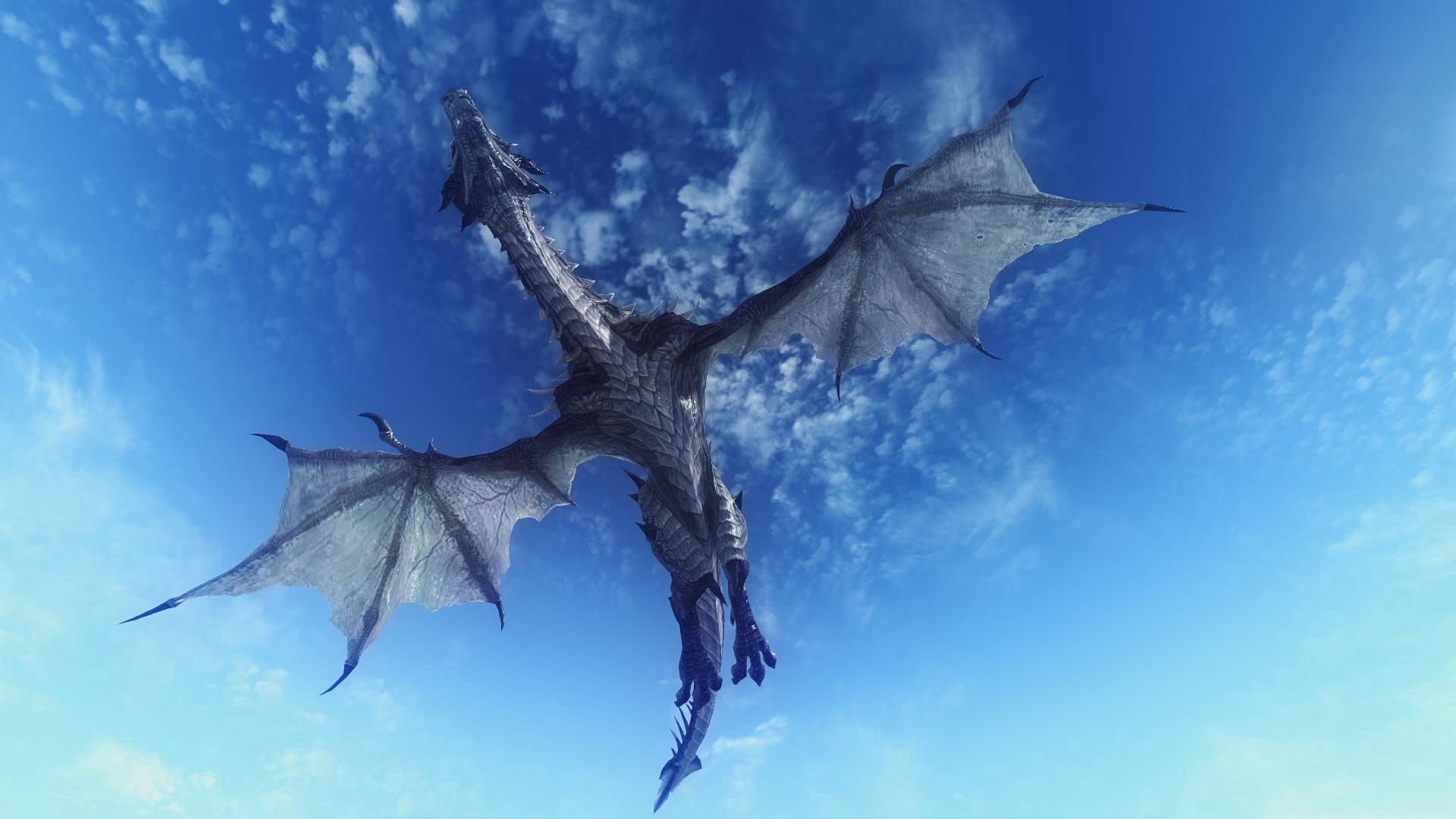 3d, sky, flight, dragon 8K
